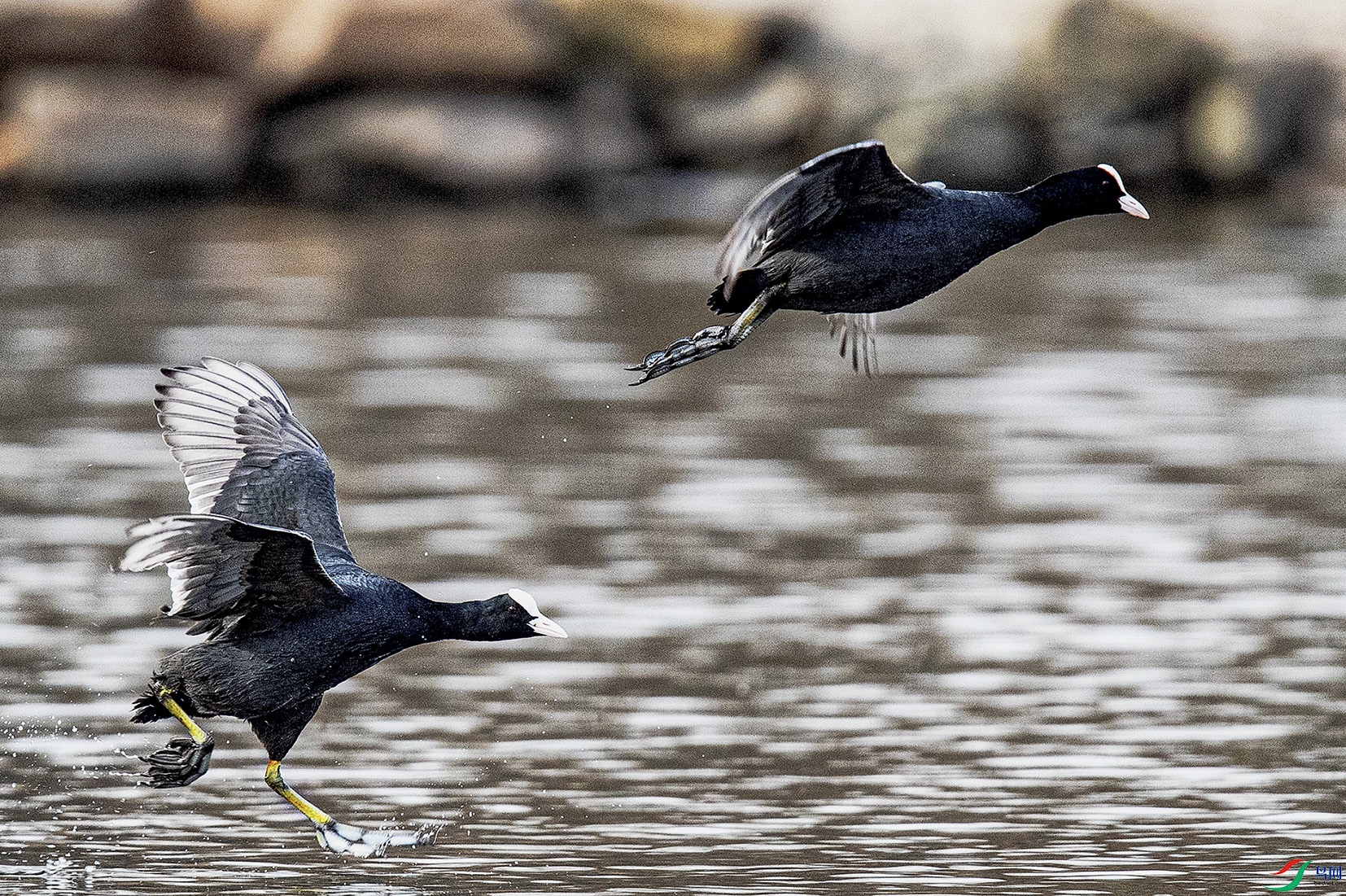 _90I4150 ���� 2.jpg