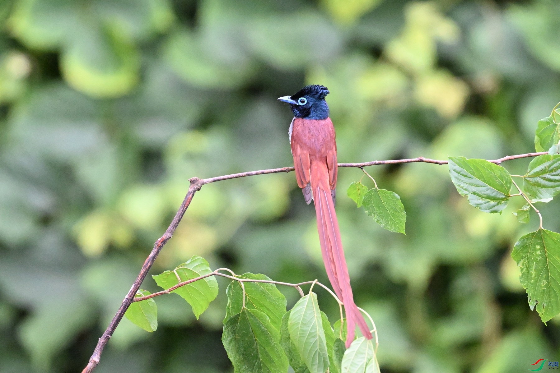 DSC_6766.JPG