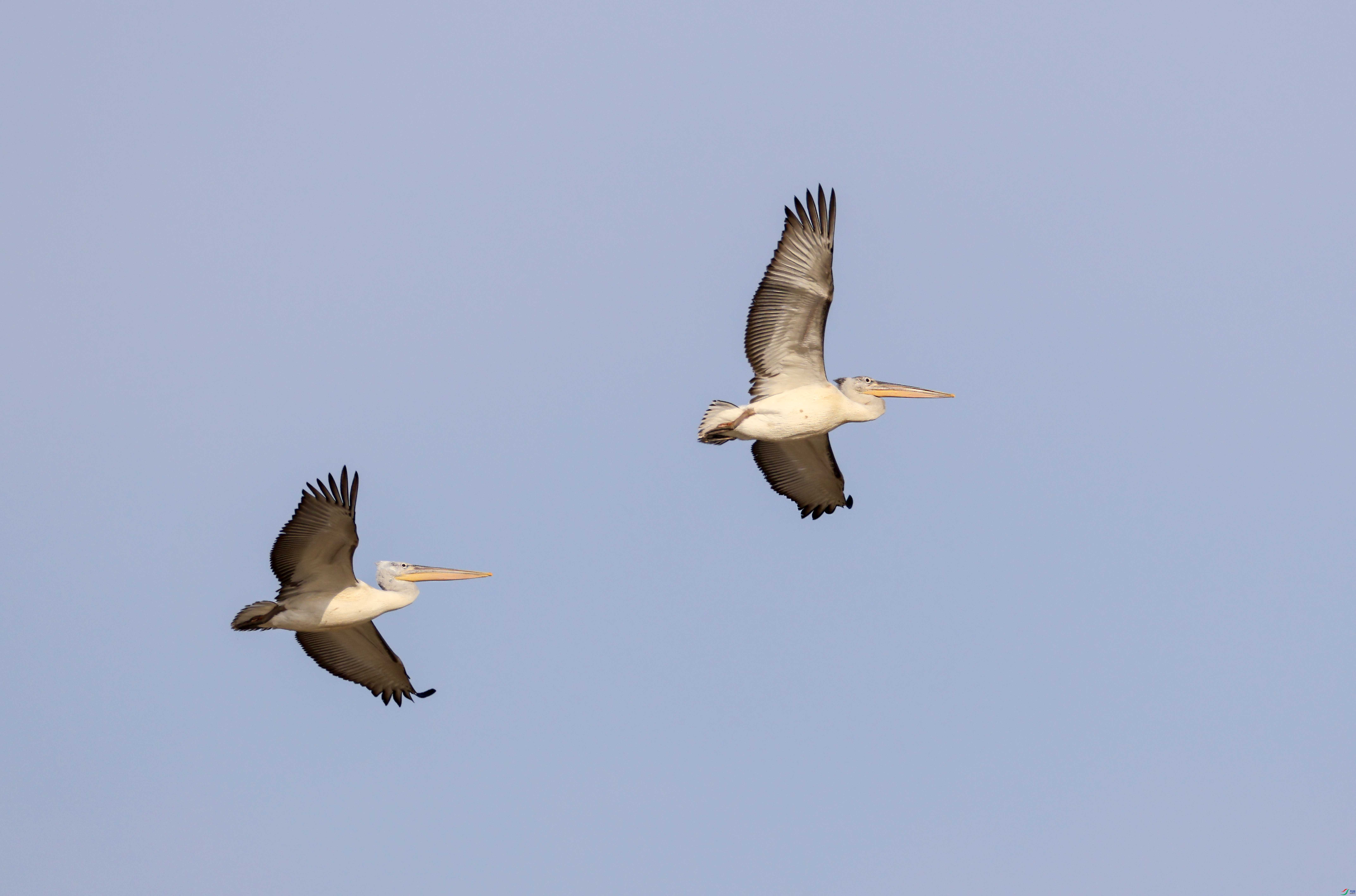 1-xt4L2A8762 ����.jpg