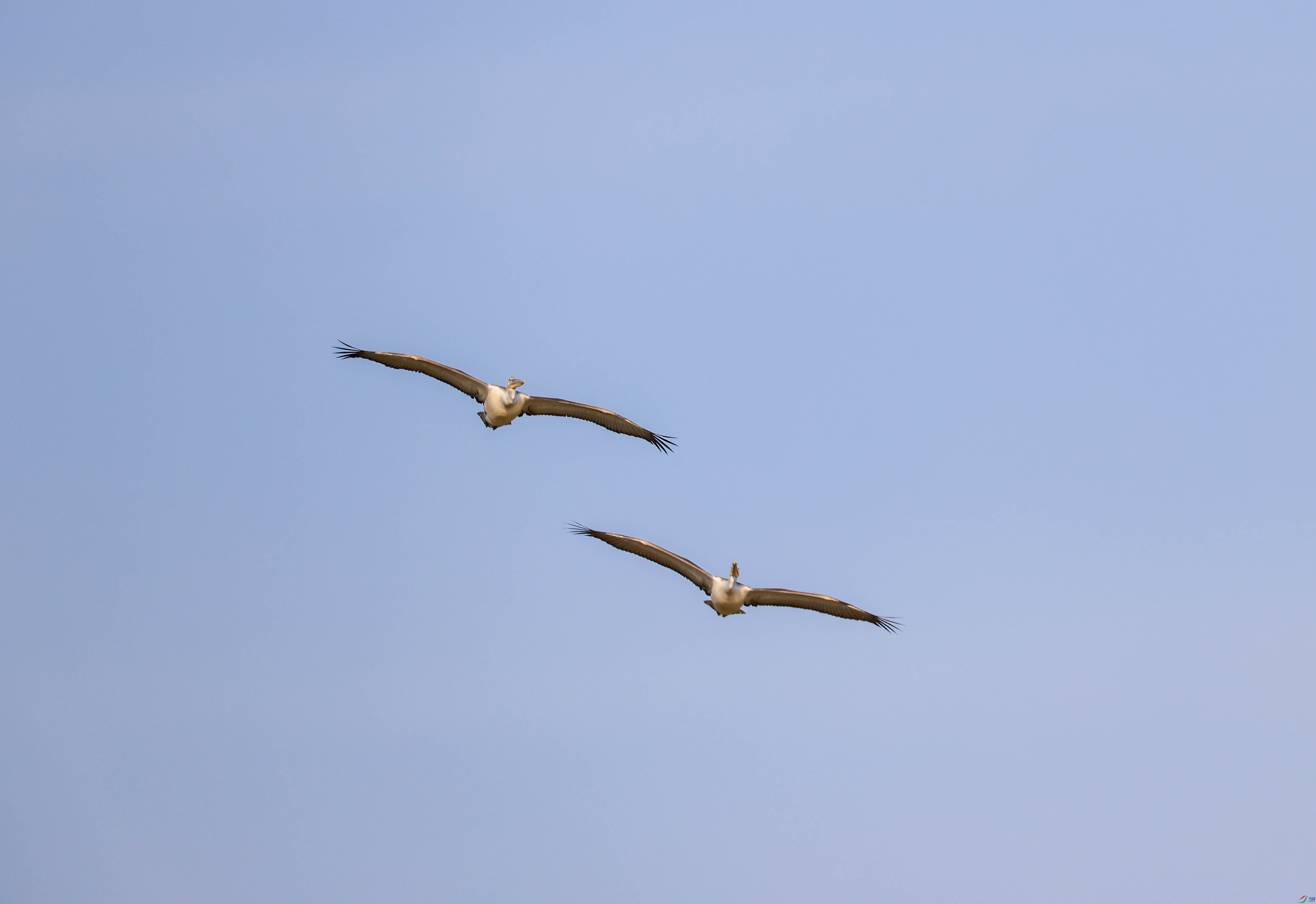 1-xt4L2A8704 ����.jpg