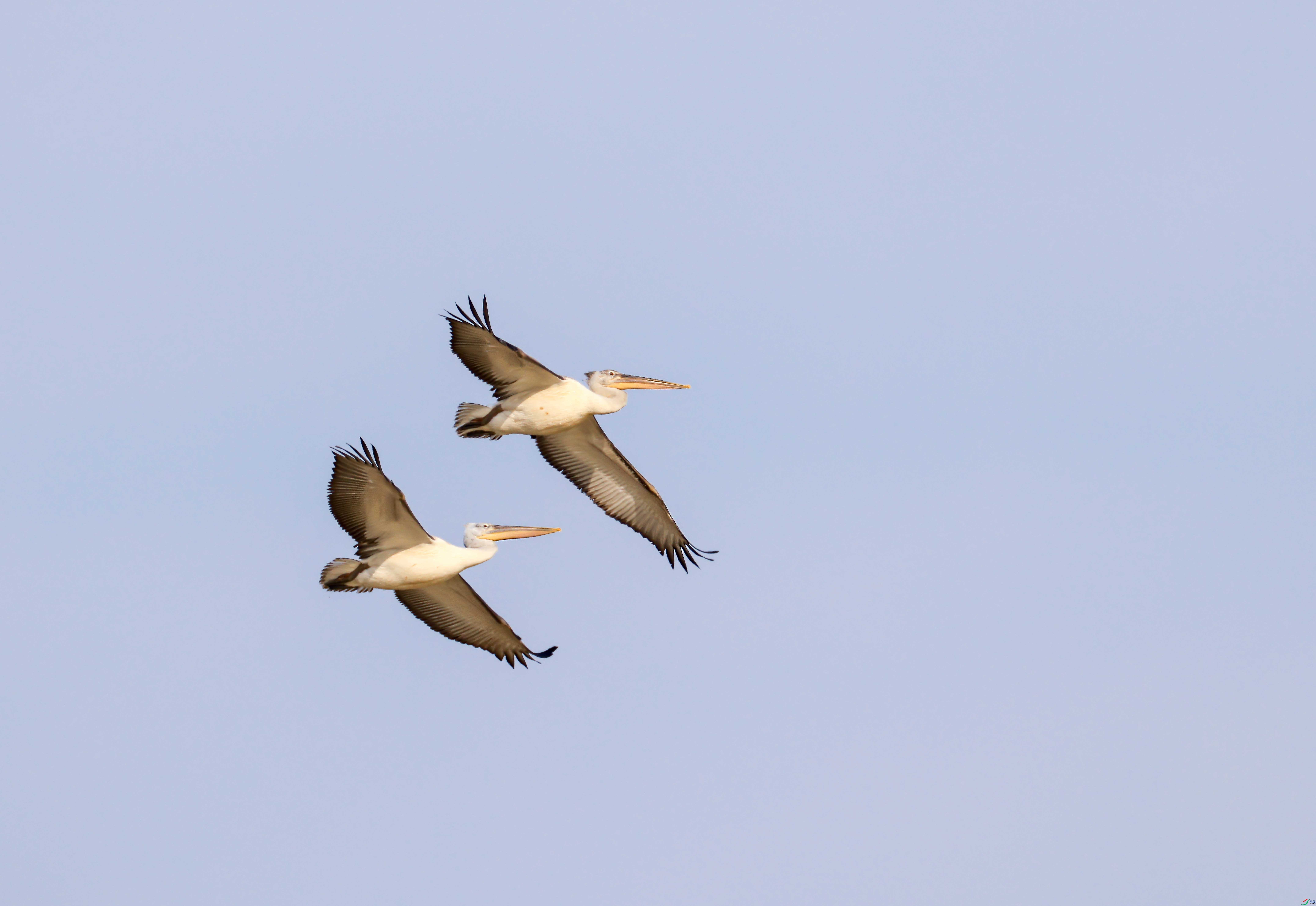 1-xt����4L2A8764 ����.jpg