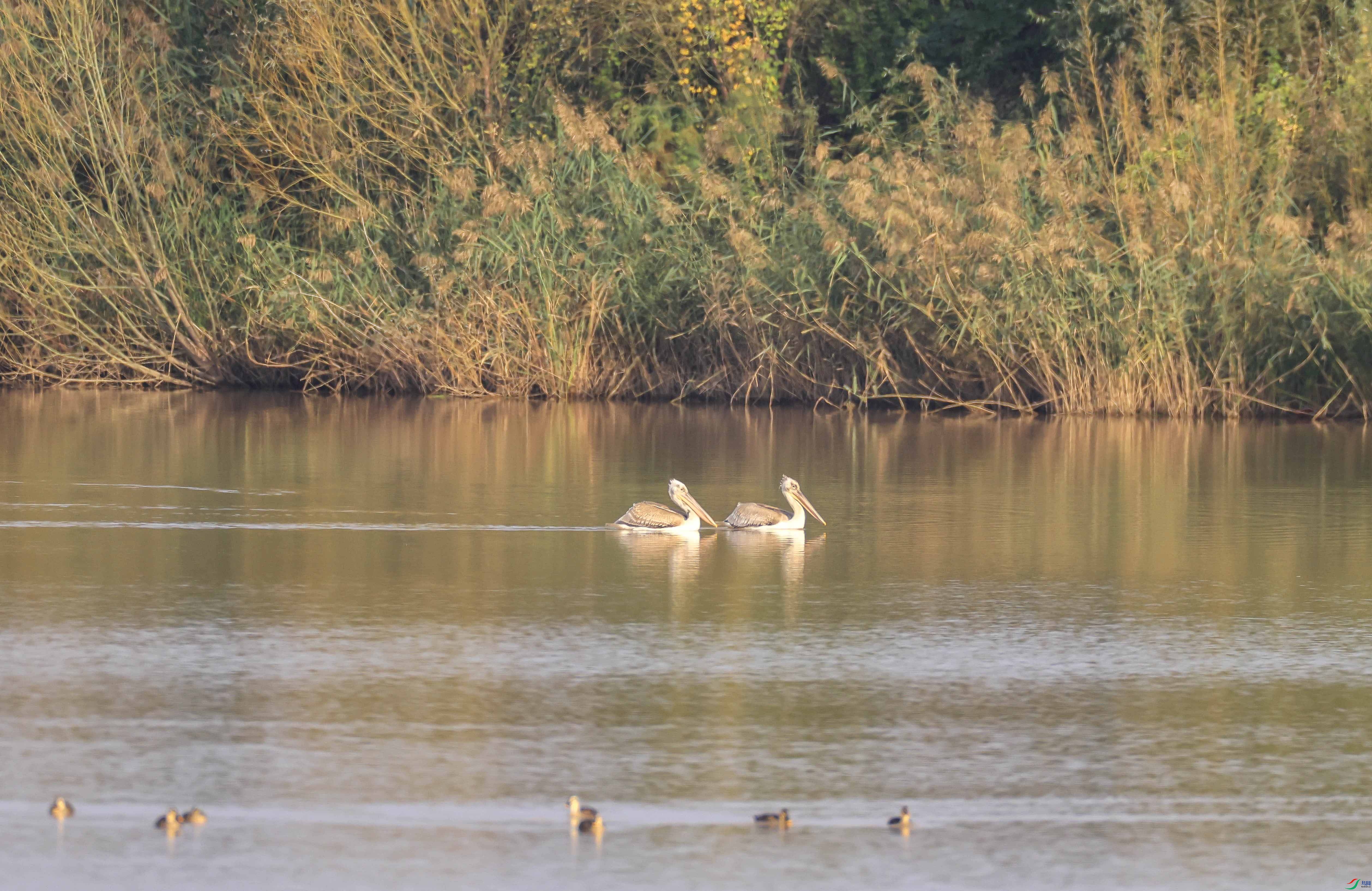 1-xt4L2A8317 ���� 2-����.jpg