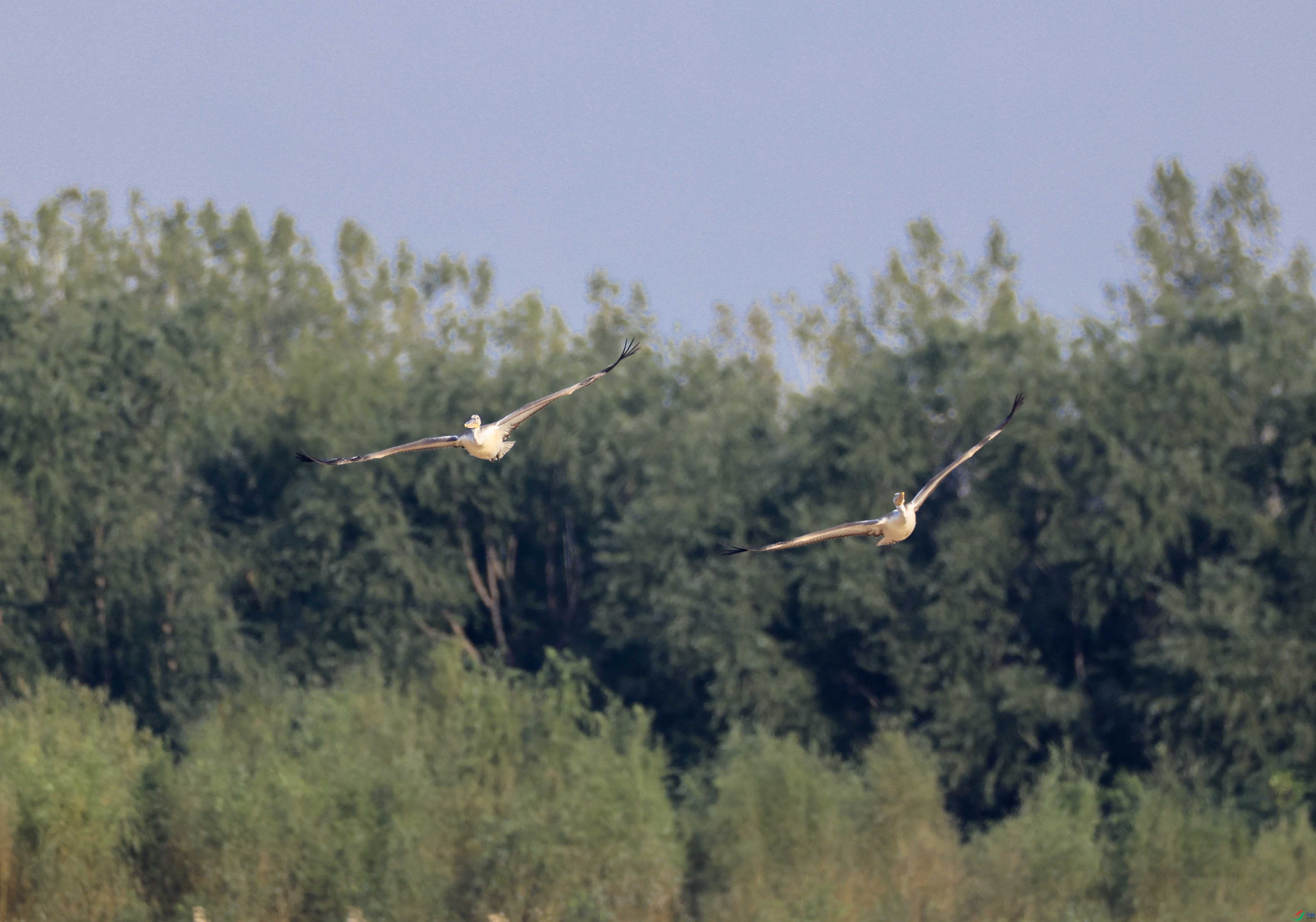 1-xt4L2A8426 ����.jpg