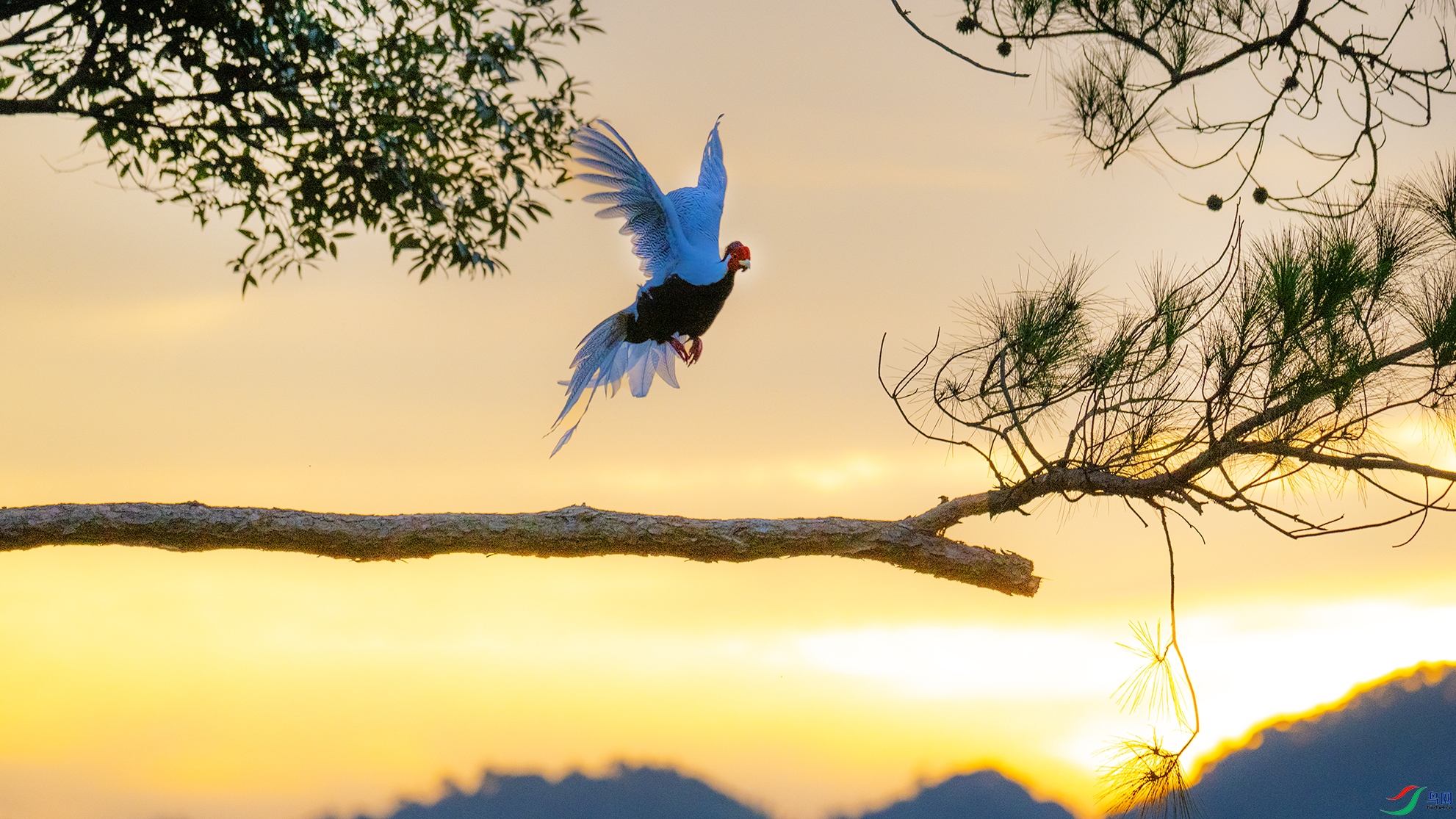 _DSC4780 ����.jpg