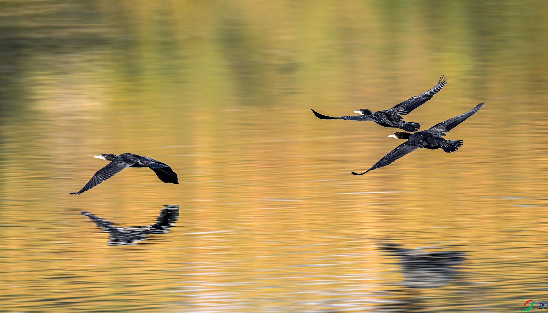 DSC_0876_��ͼ�� ����.jpg