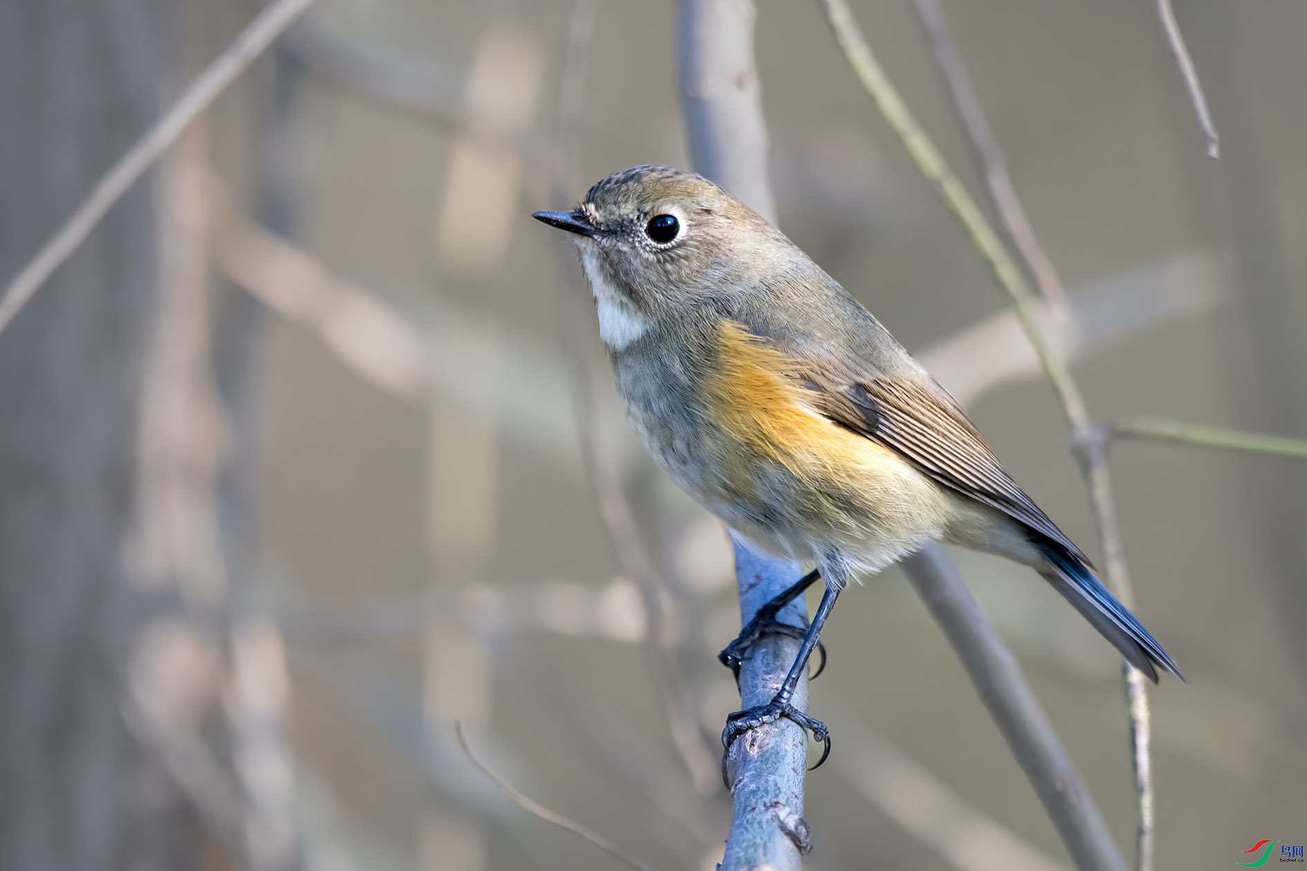 DSC_7155_��ͼ�� ����.jpg