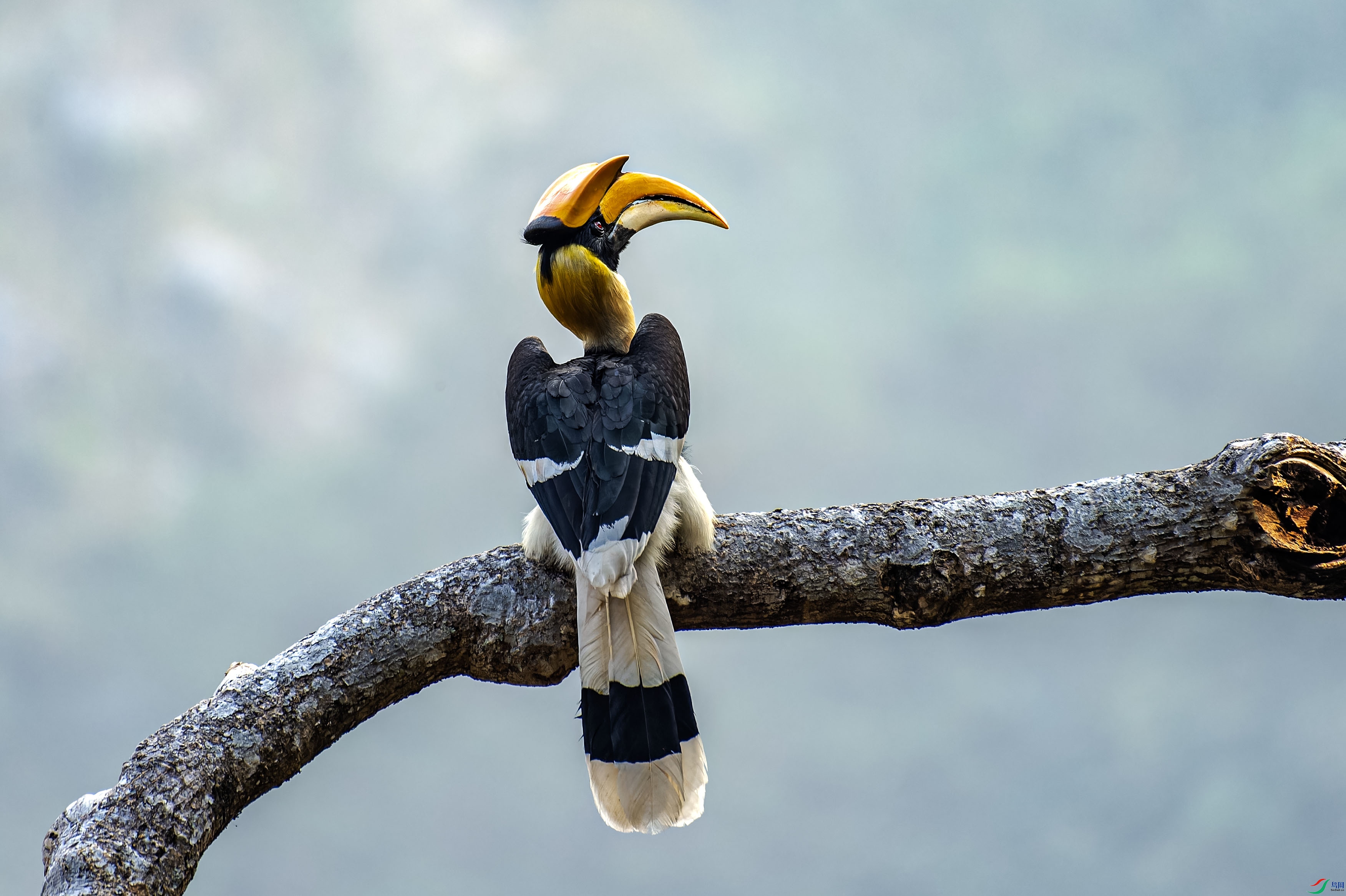 DSC_2180-NEF_DxO_DeepPRIMEXD ����.jpg