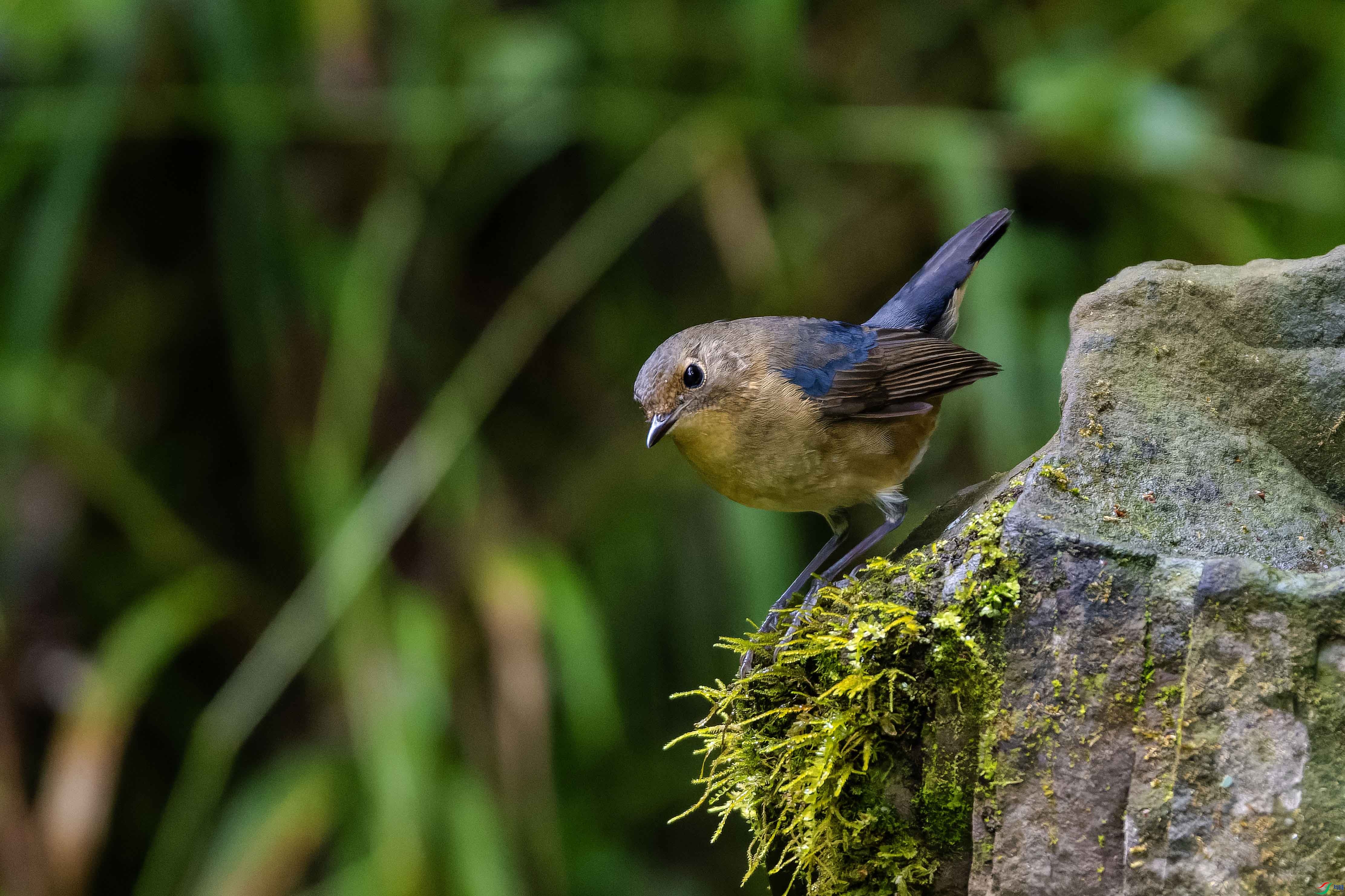 DSC_2234-NEF_DxO_DeepPRIME ���� 2.jpg