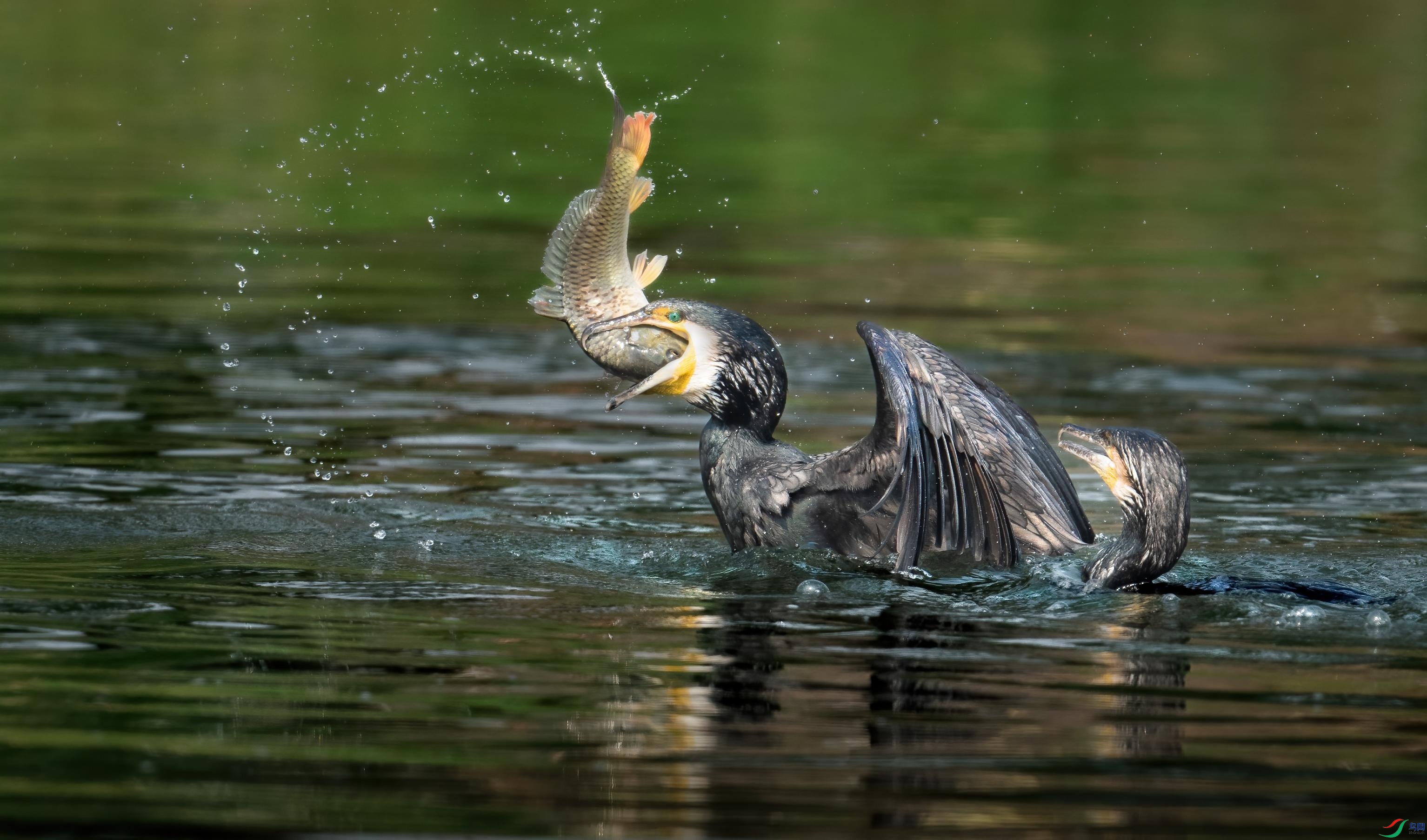 �����ҵ���