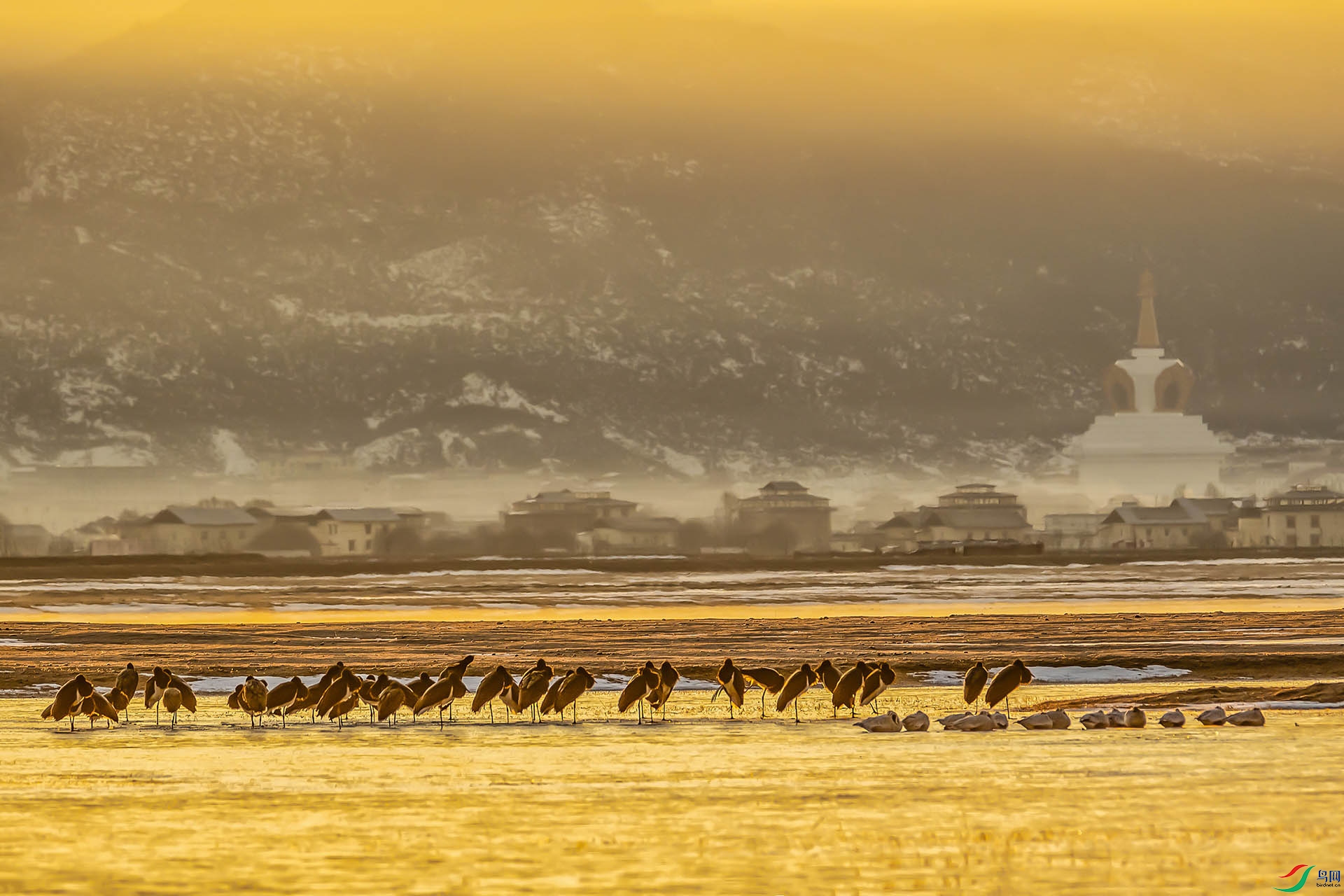 _DSC4741 ����.jpg