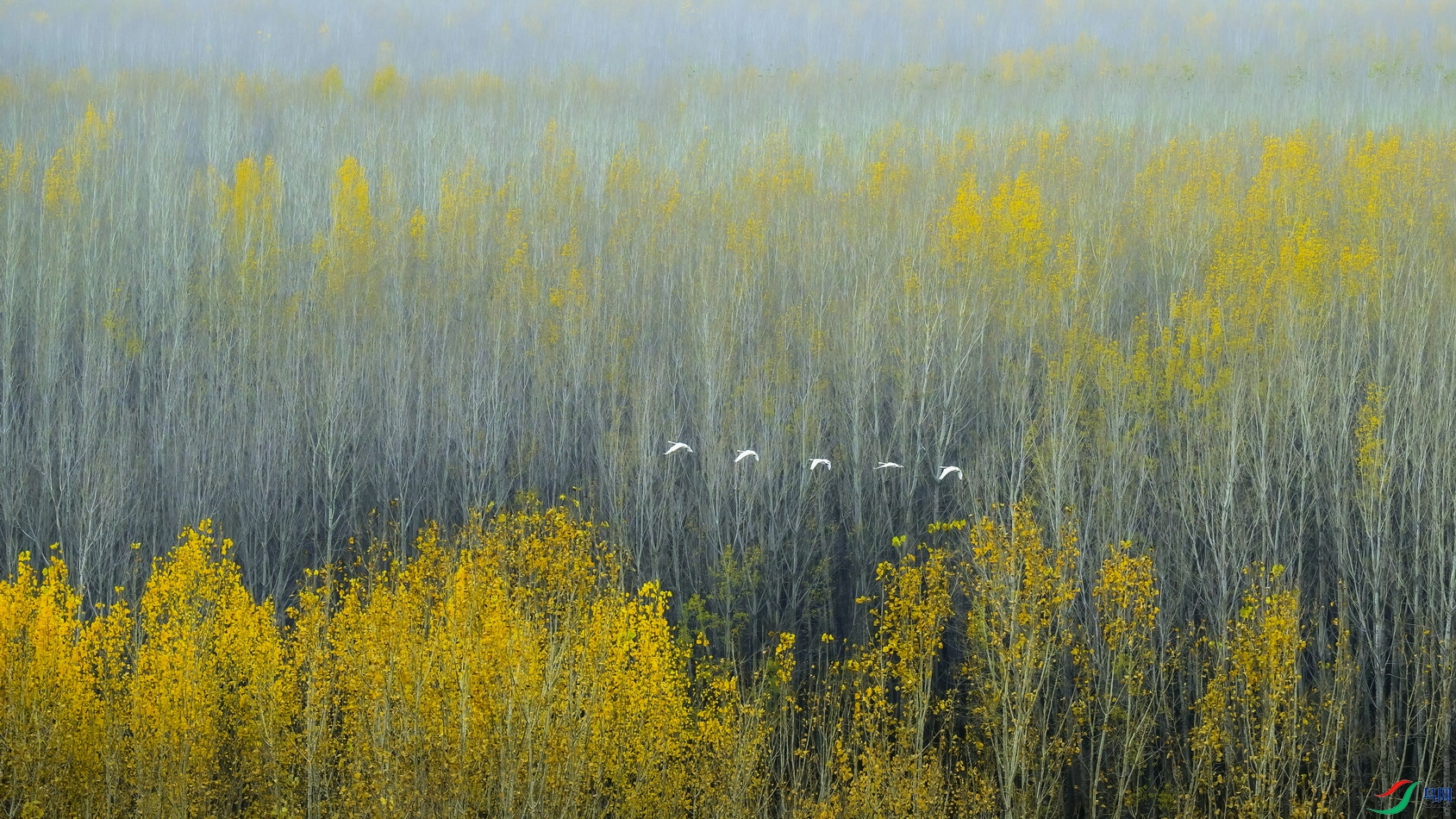 _DSC7809 ����F001.jpg