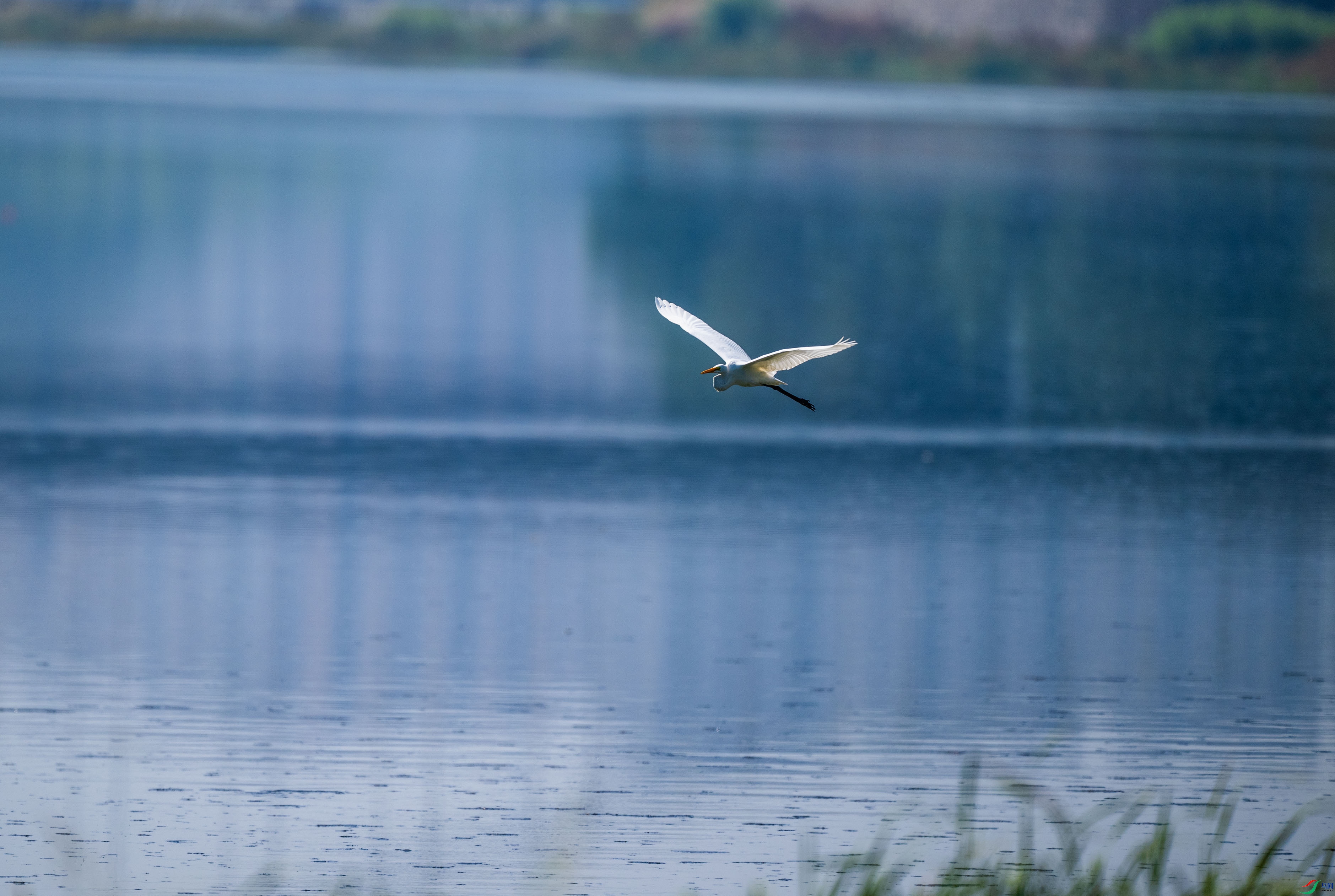 DSC_9443.jpg