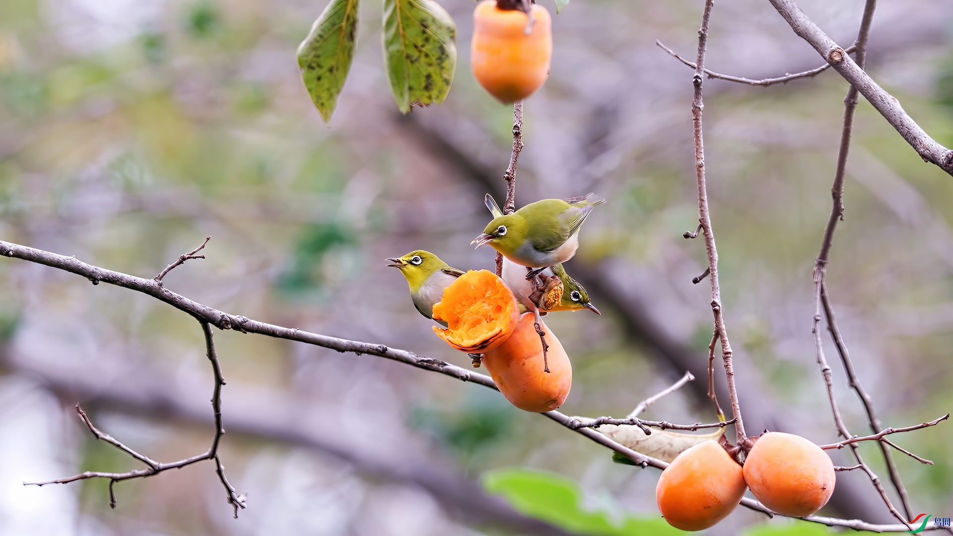 ��֡ 2025-10-21 162514_1.1.jpg