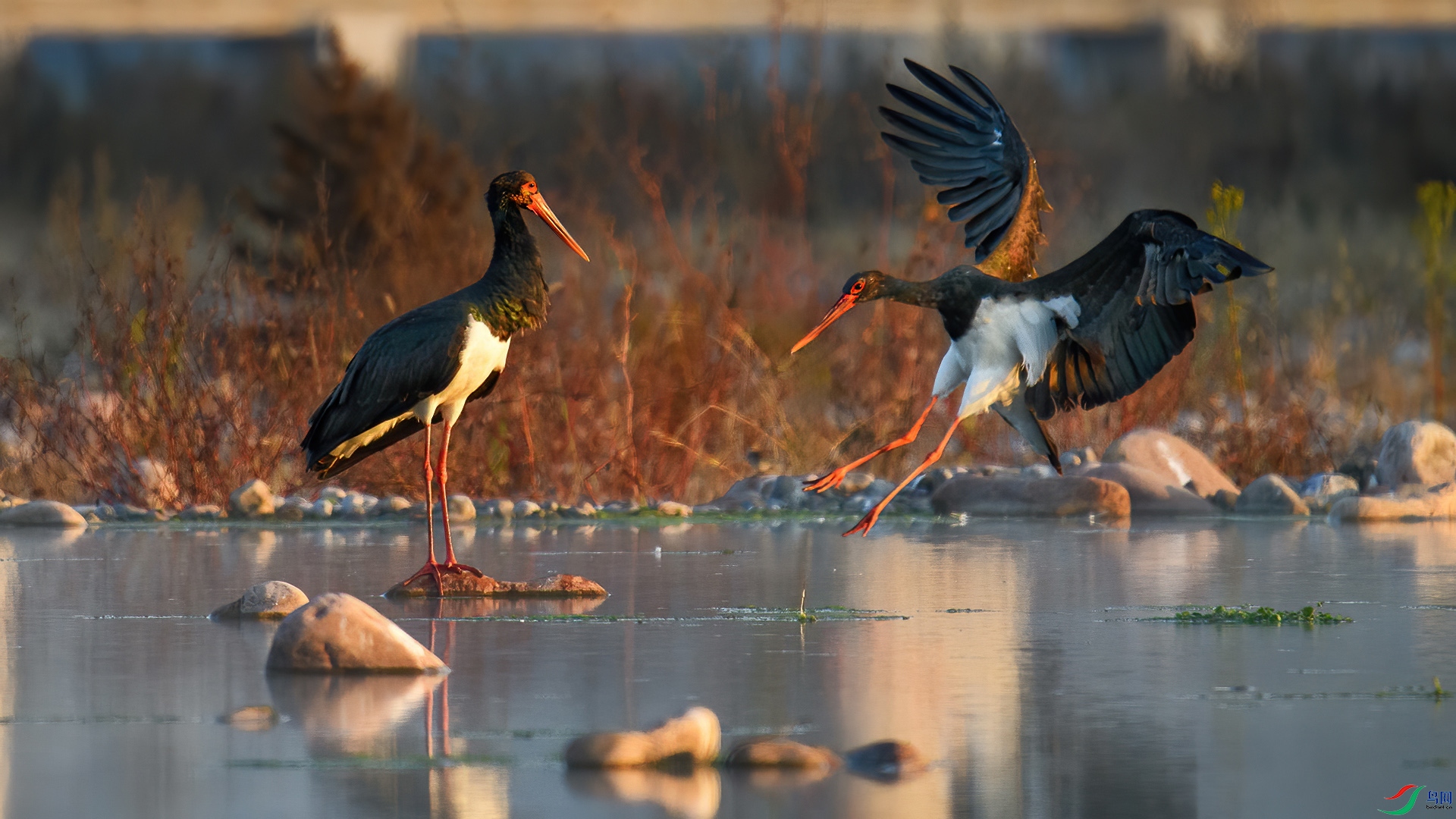 DSC_5856-20241107 ��.jpg