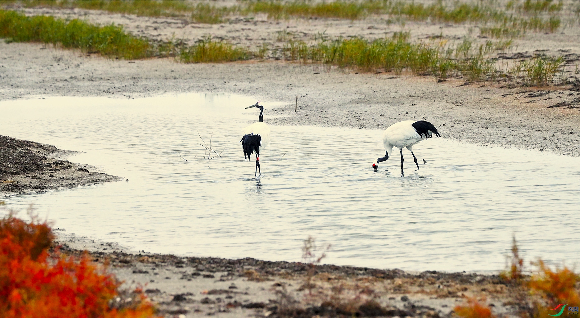 10��13�� (1)(99)-1.jpg