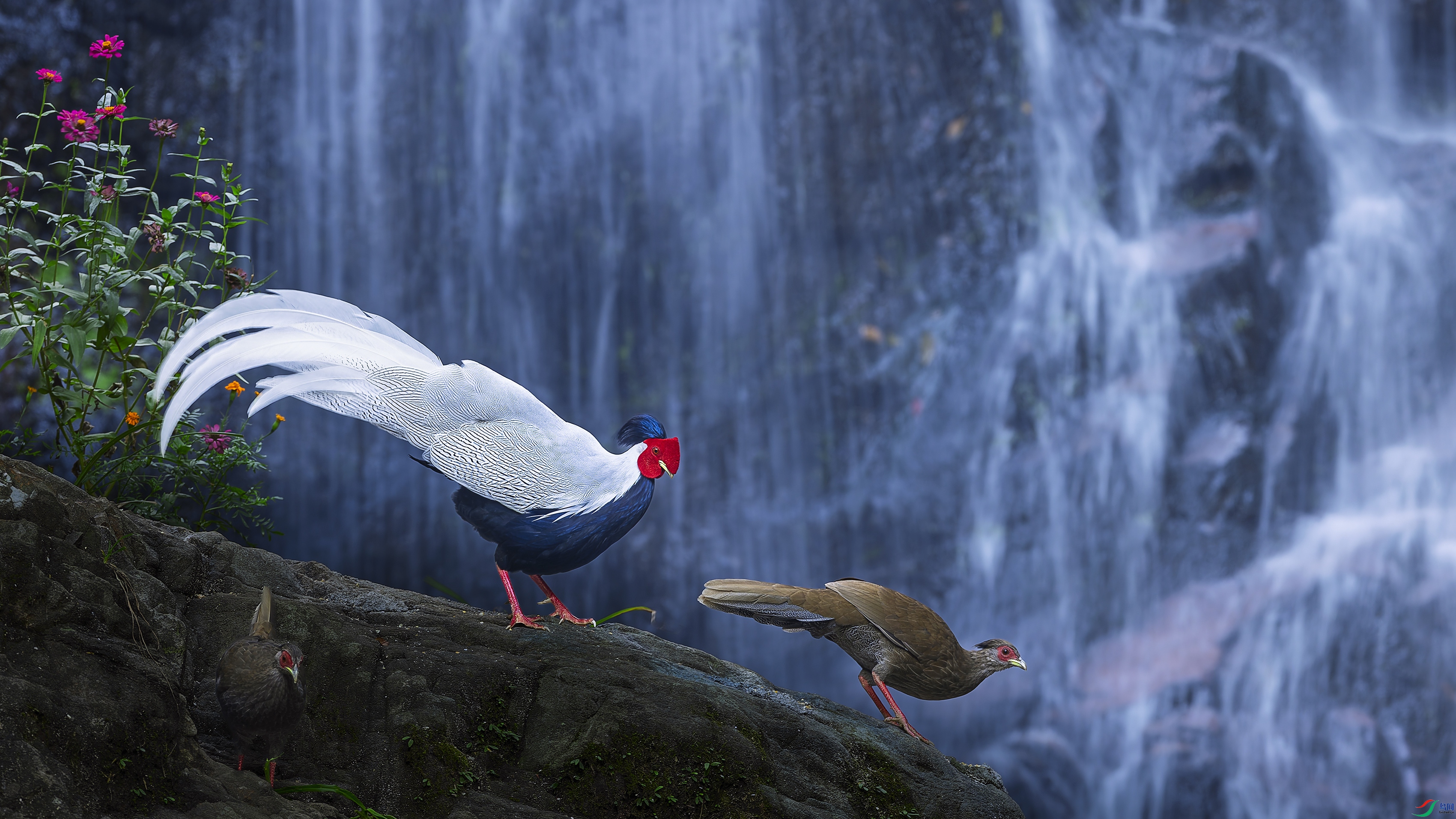 ����ǰ���£����ѷ绪��