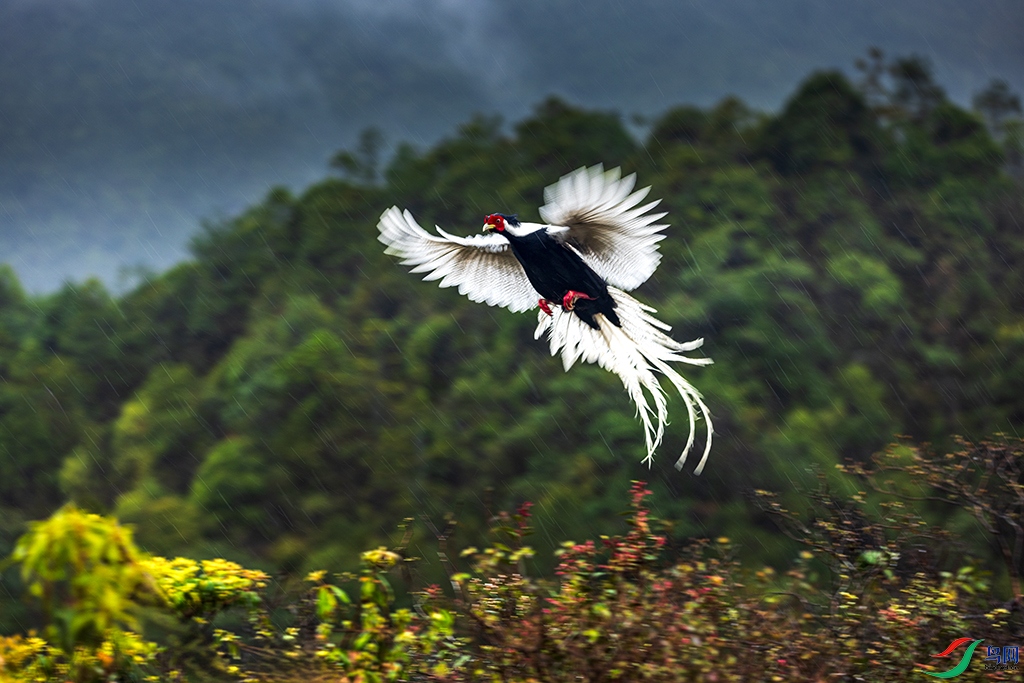 fjyaR230325 (1010).jpg