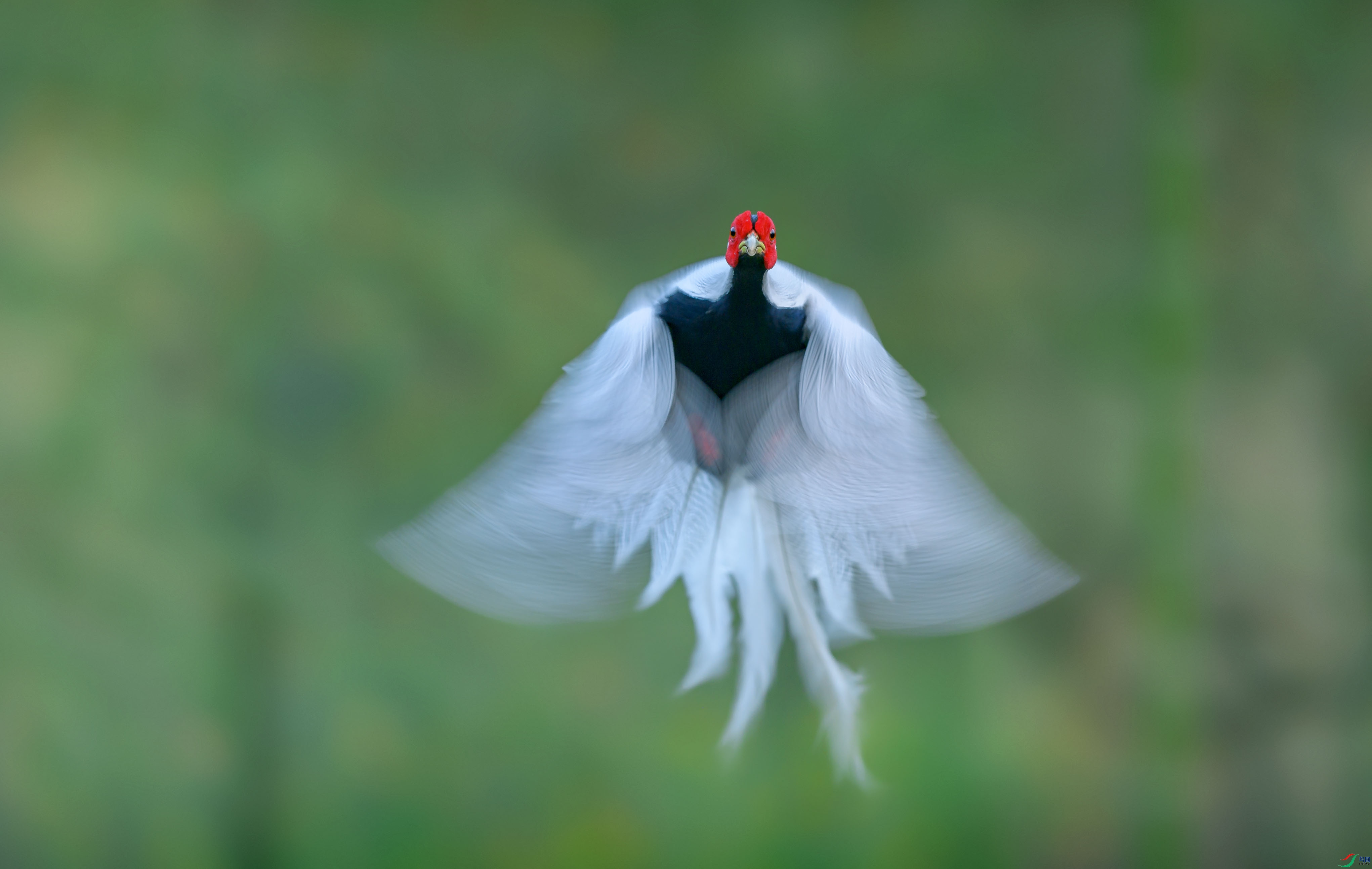 ��������