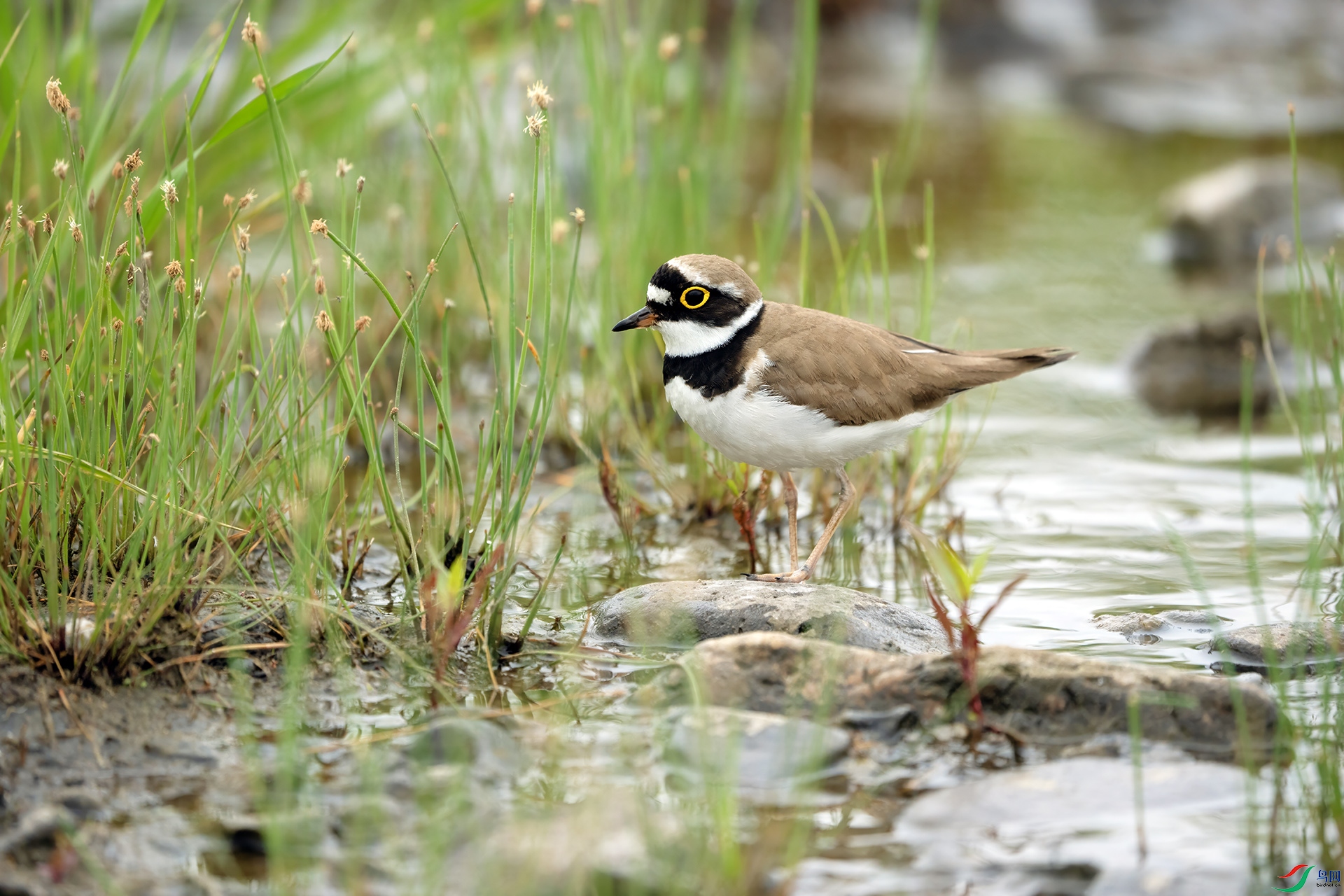 DSC03854 ���� 2.jpg