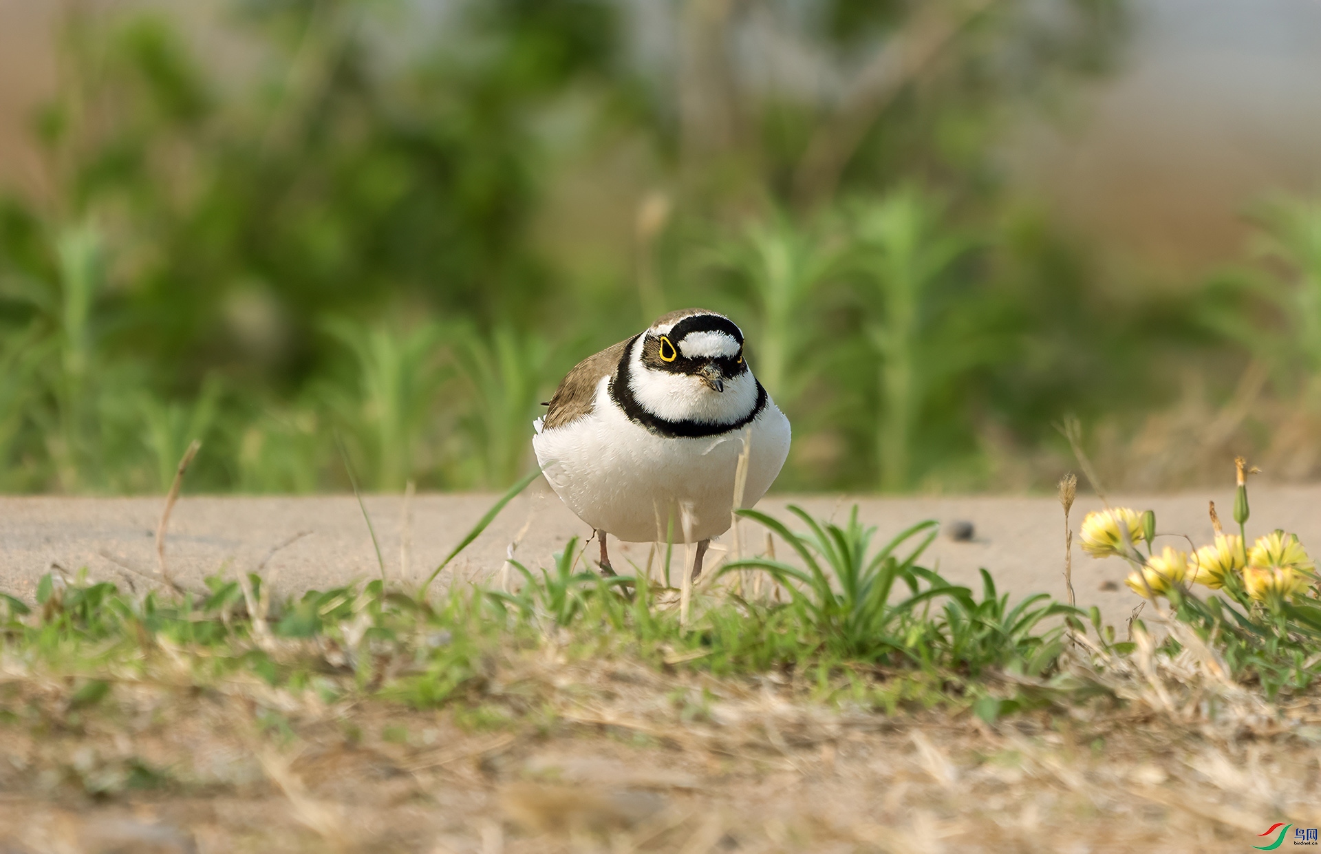 DSC04671 ����.jpg