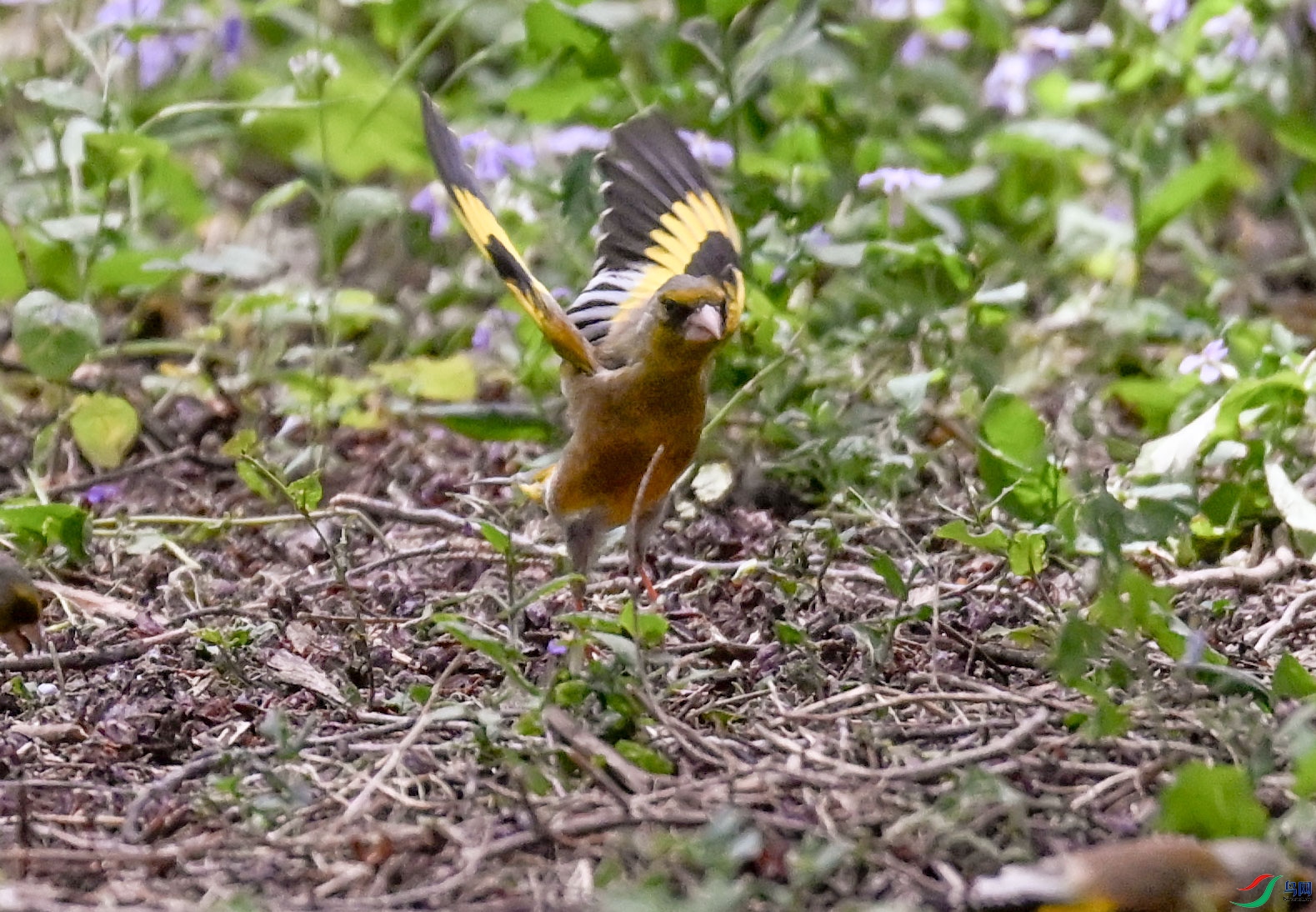 DSC_6875   ��.jpg