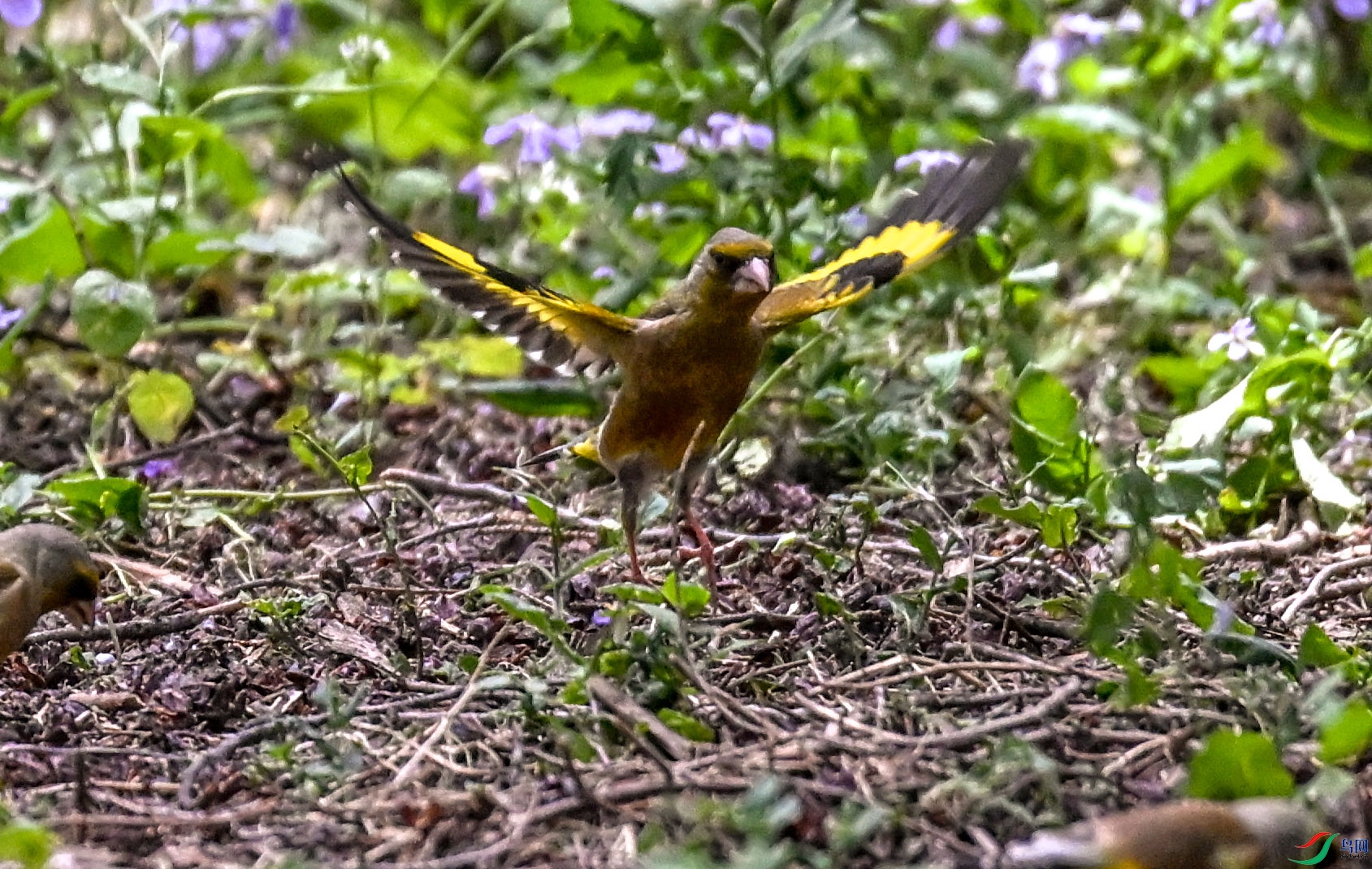 DSC_6876   ��.jpg