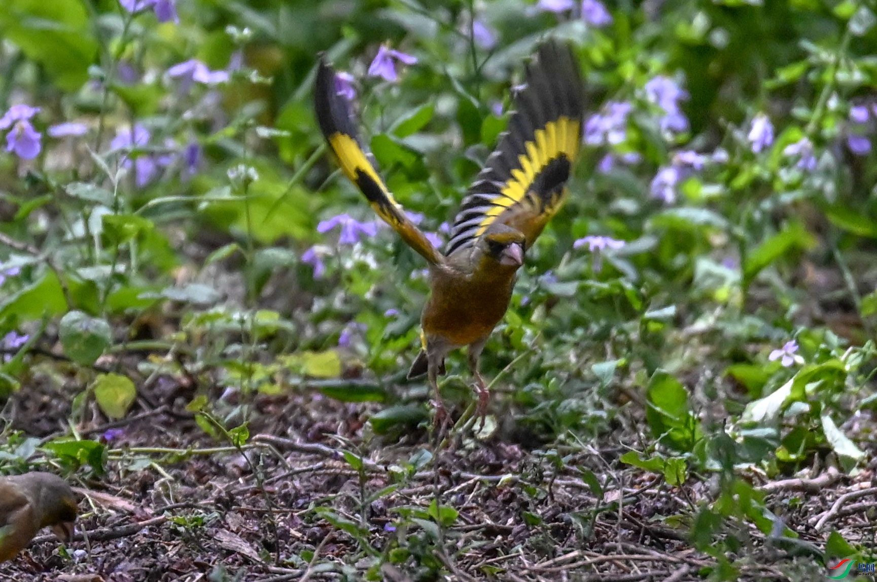 DSC_6881   ��.jpg