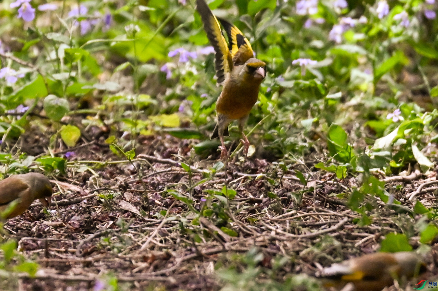 DSC_6880   ��.jpg