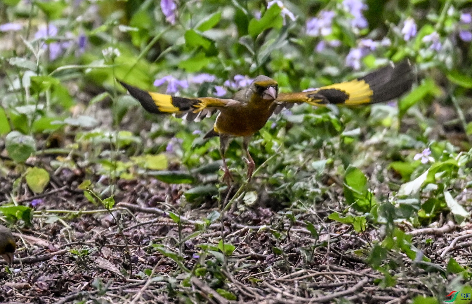 DSC_6882   ��.jpg