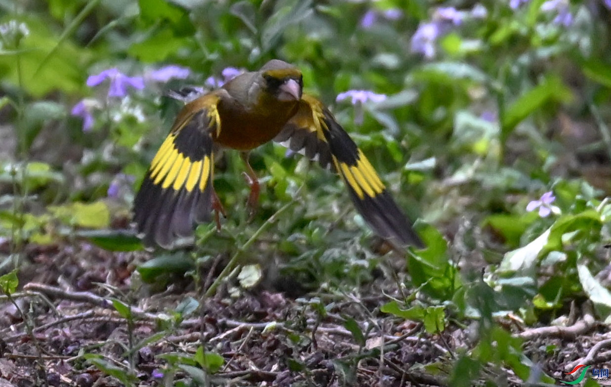 DSC_6883   ��.jpg