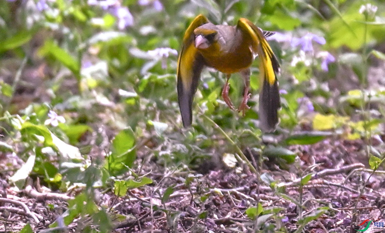 DSC_6884   ��.jpg