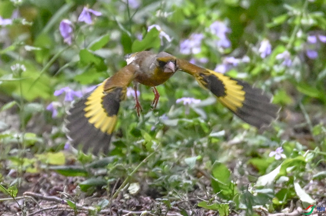 DSC_6888   ��.jpg