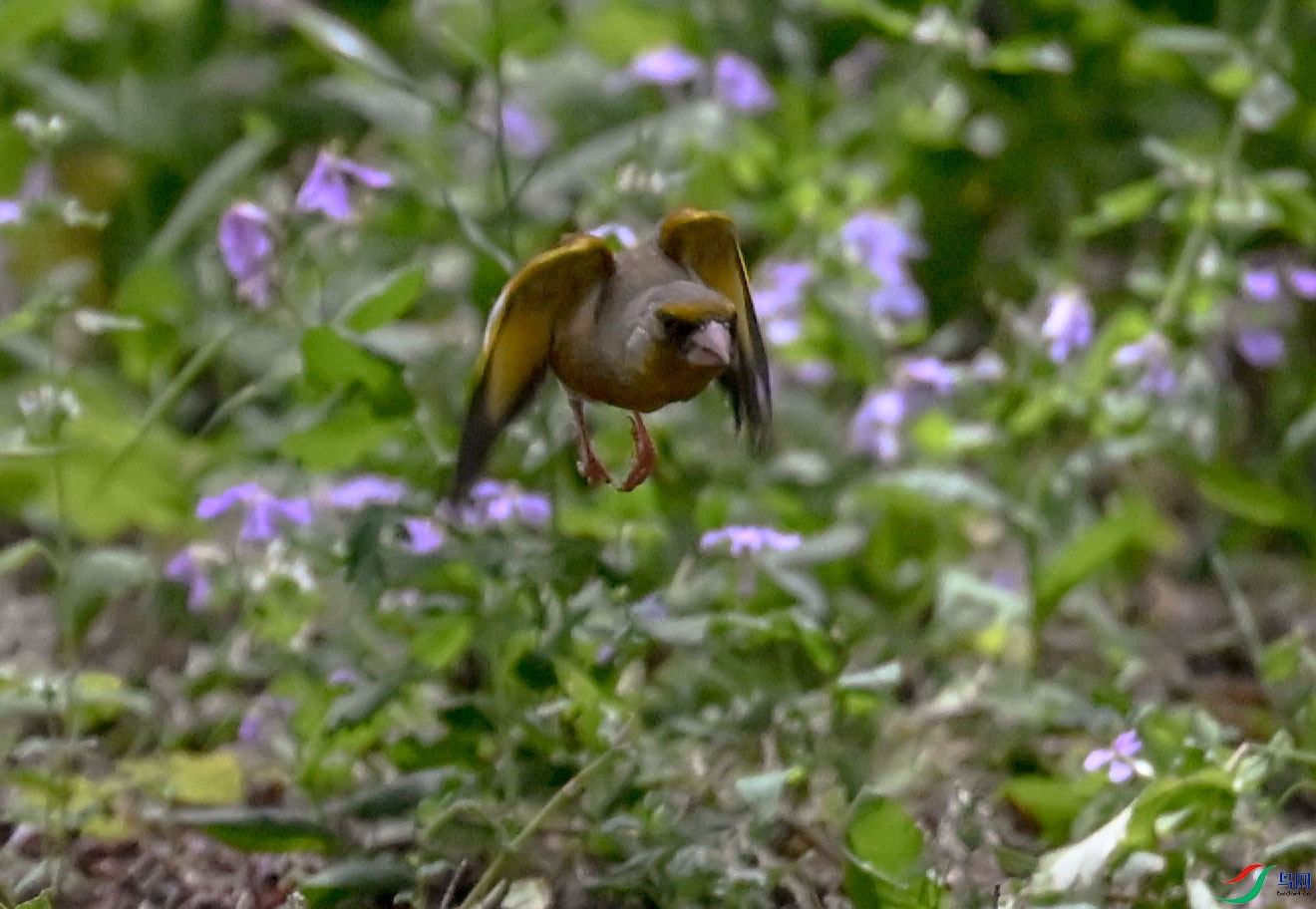 DSC_6890   ��.jpg