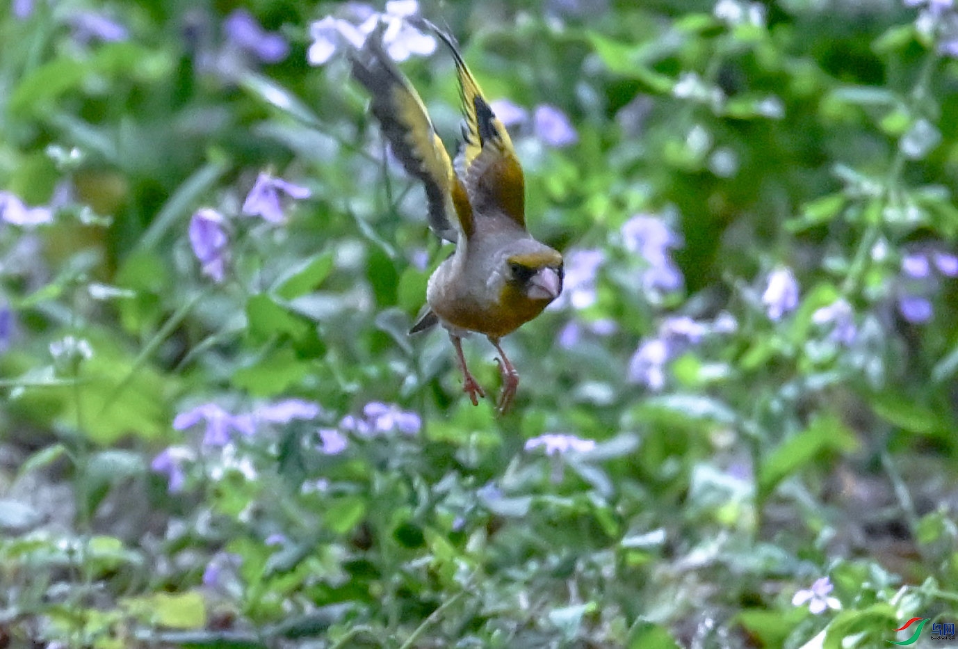 DSC_6891   ��.jpg