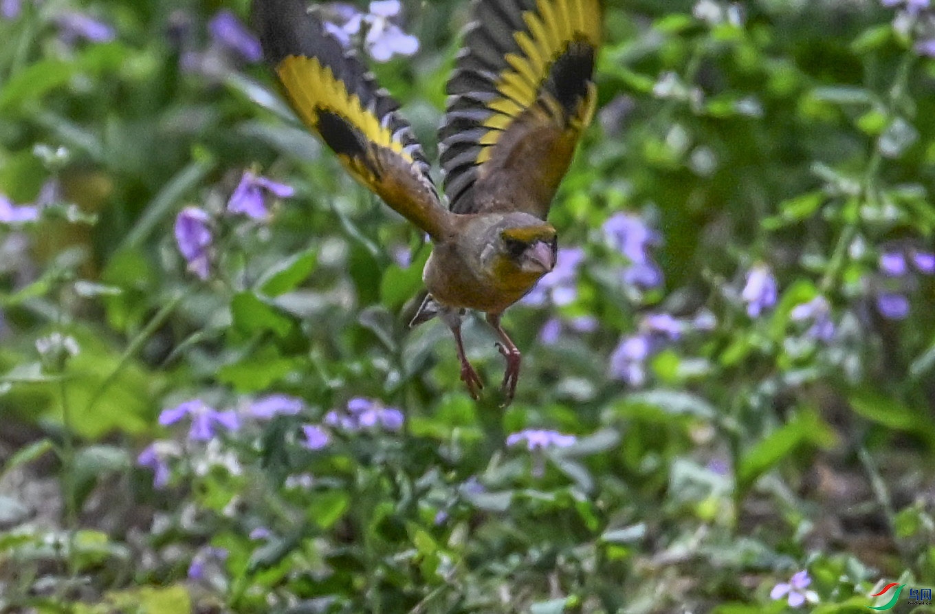 DSC_6892   ��.jpg