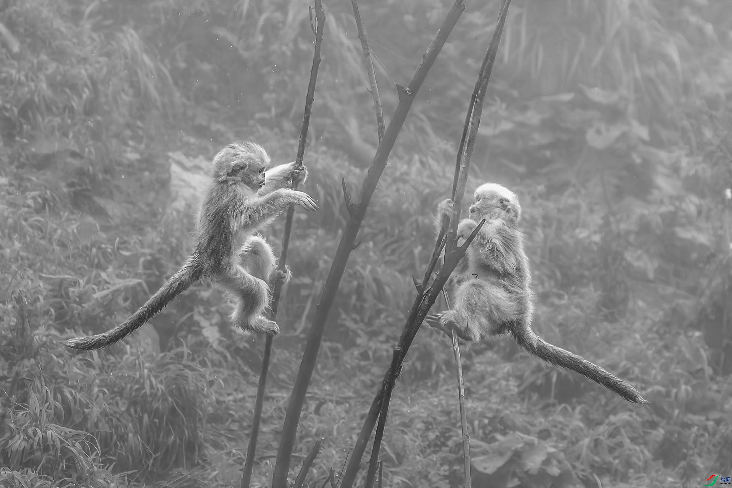 BJ4T8038 ����1.jpg