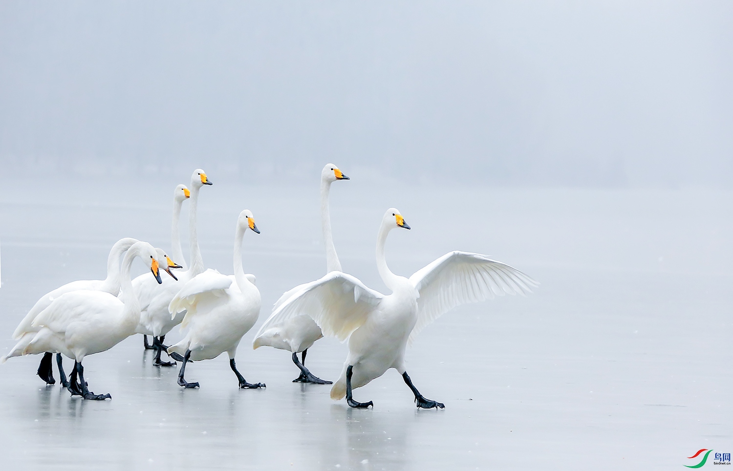 ftl rhf 03..==2025.10.jpg