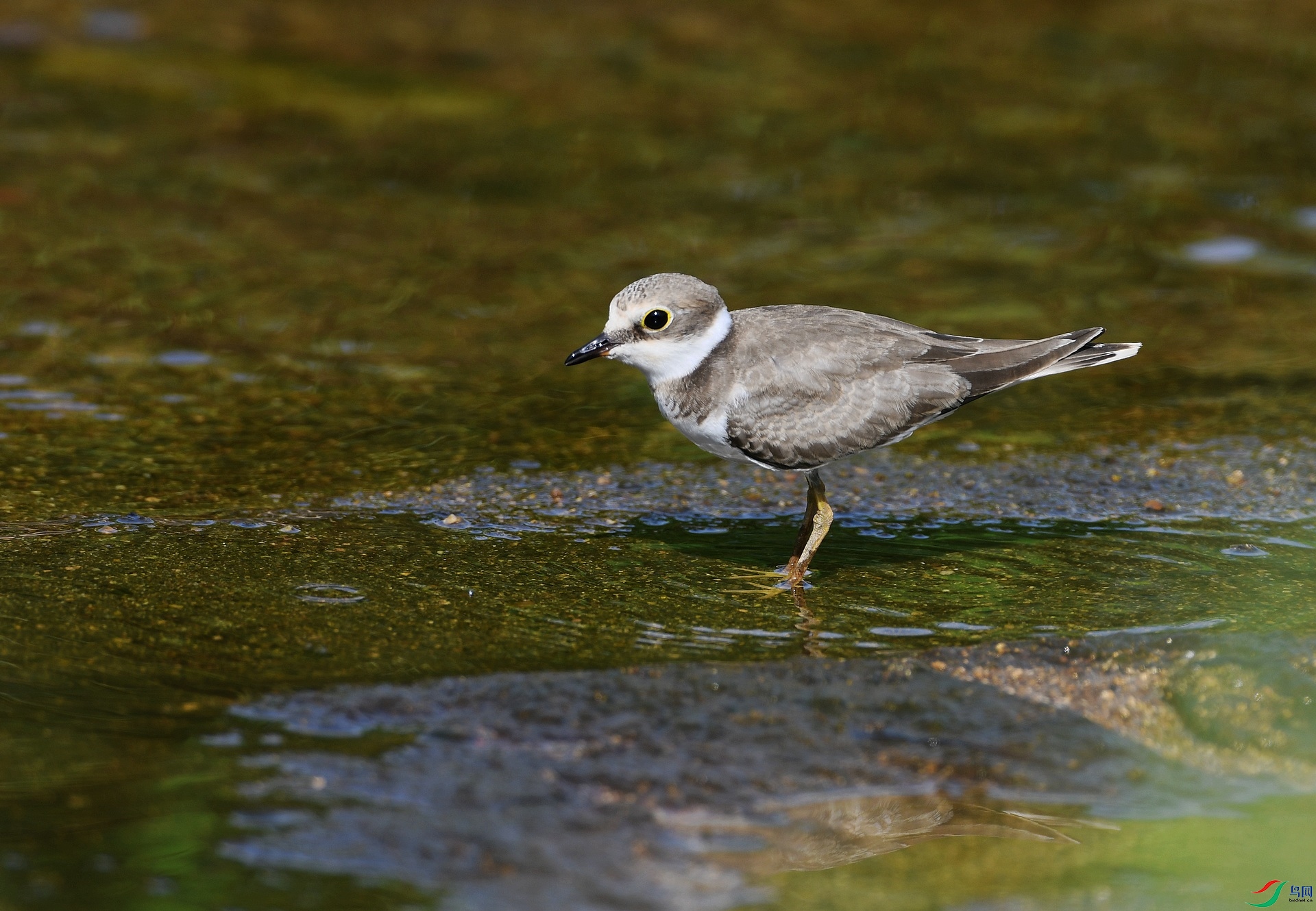 DSC_5911.jpg