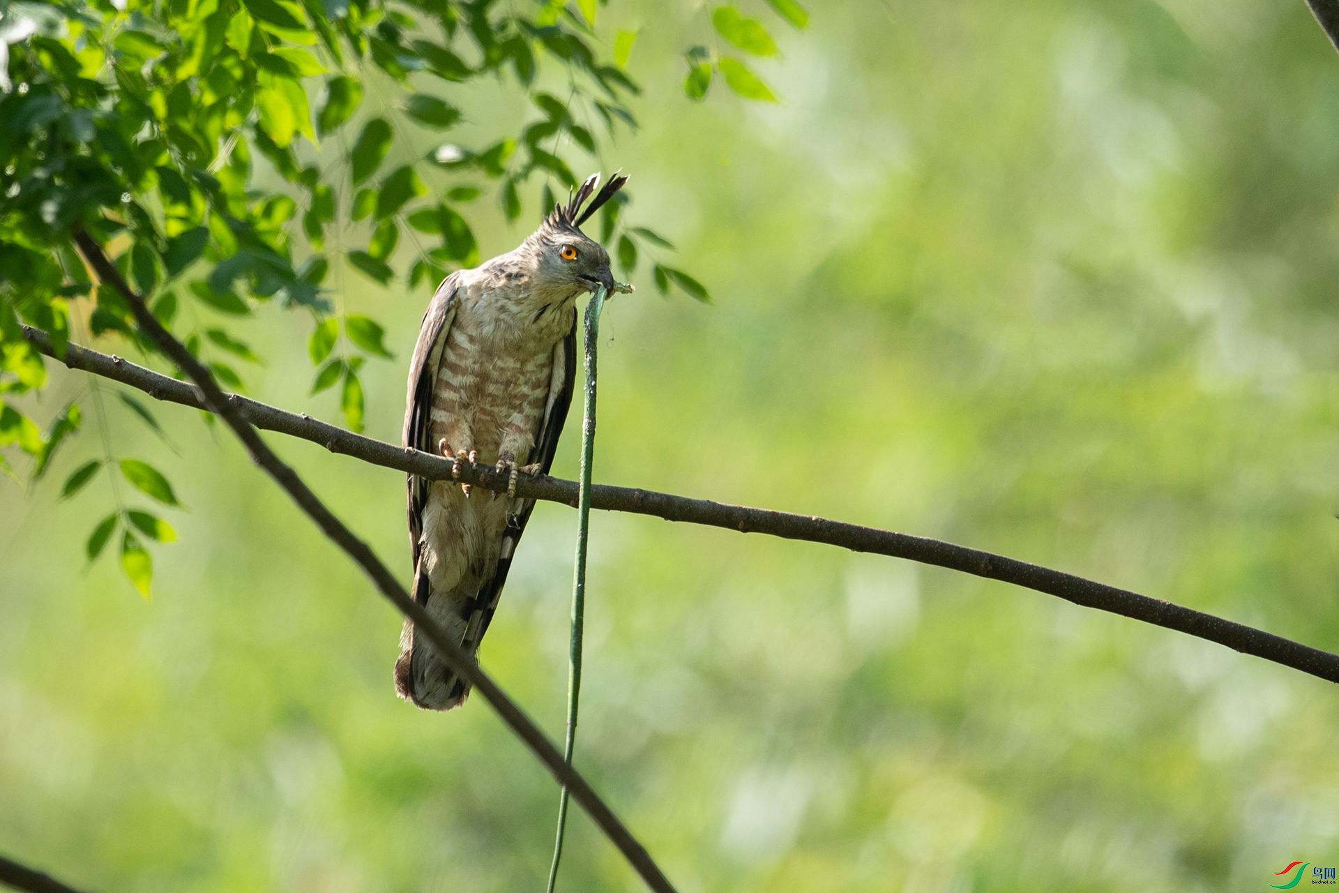DSC_0299.png
