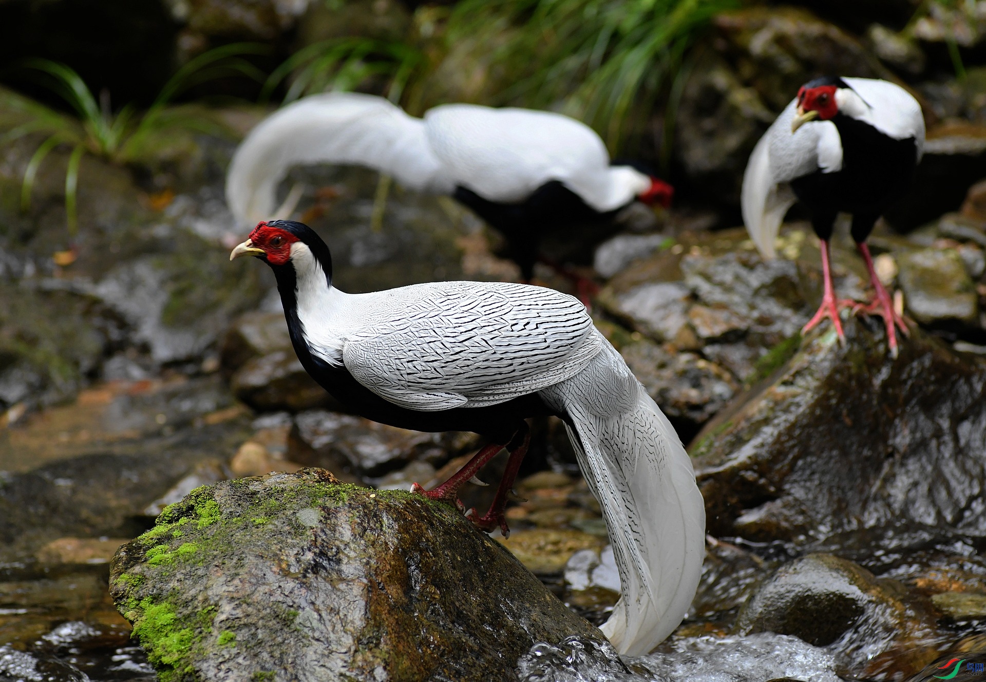DSC_0125.jpg