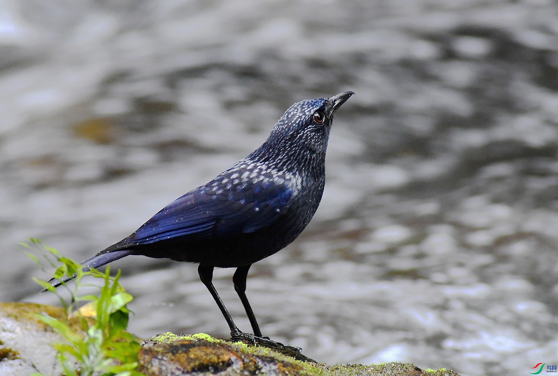 DSC_1496.jpg