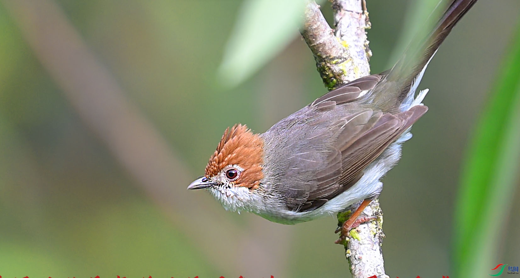 {8589373D-E10D-4B48-B031-95FE3A038CC7} ����.jpg