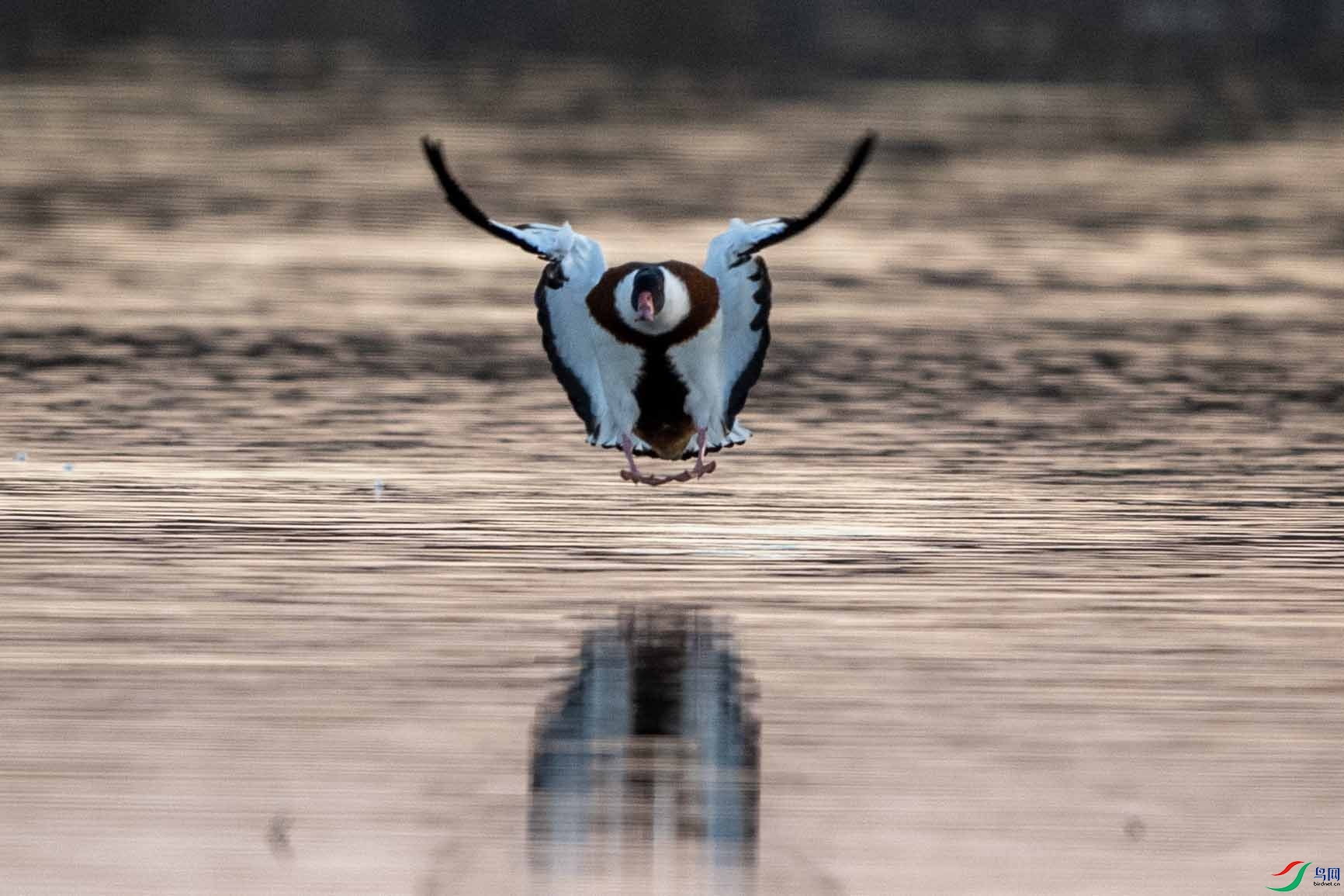 _DSC4602 ����.jpg