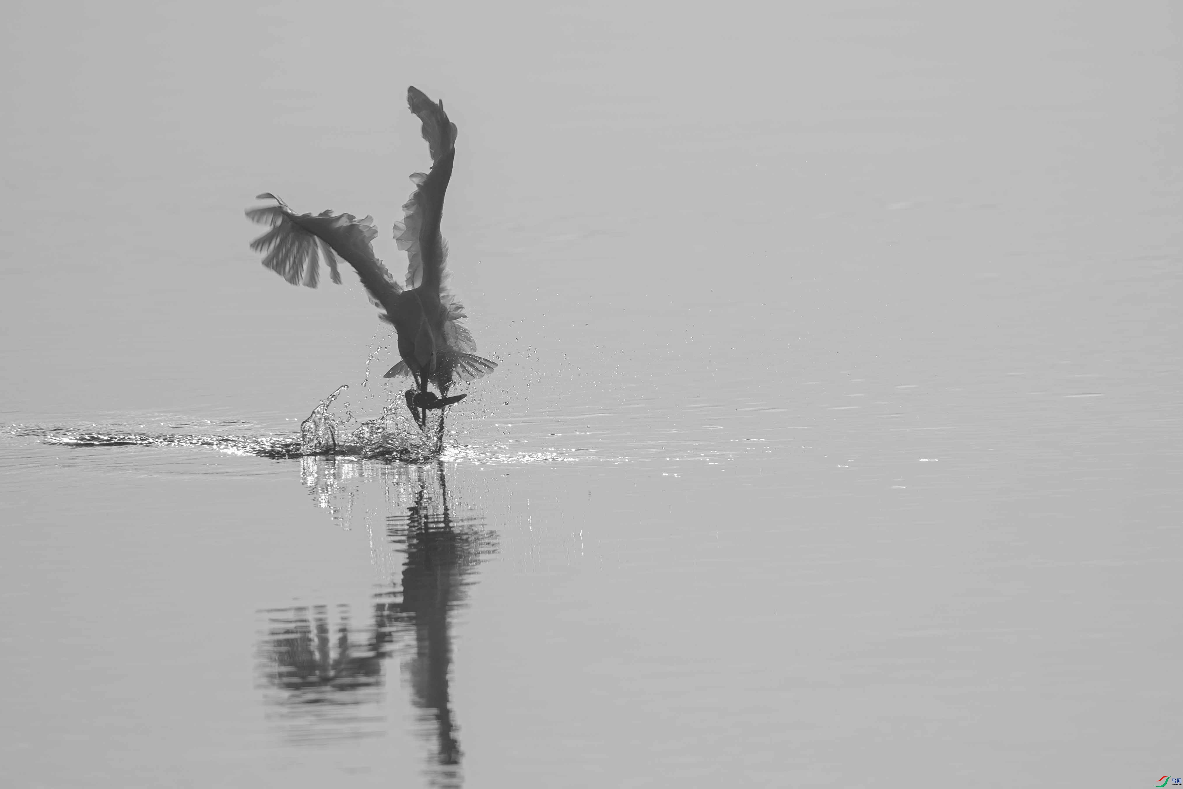 _DSC9501 ����.jpg