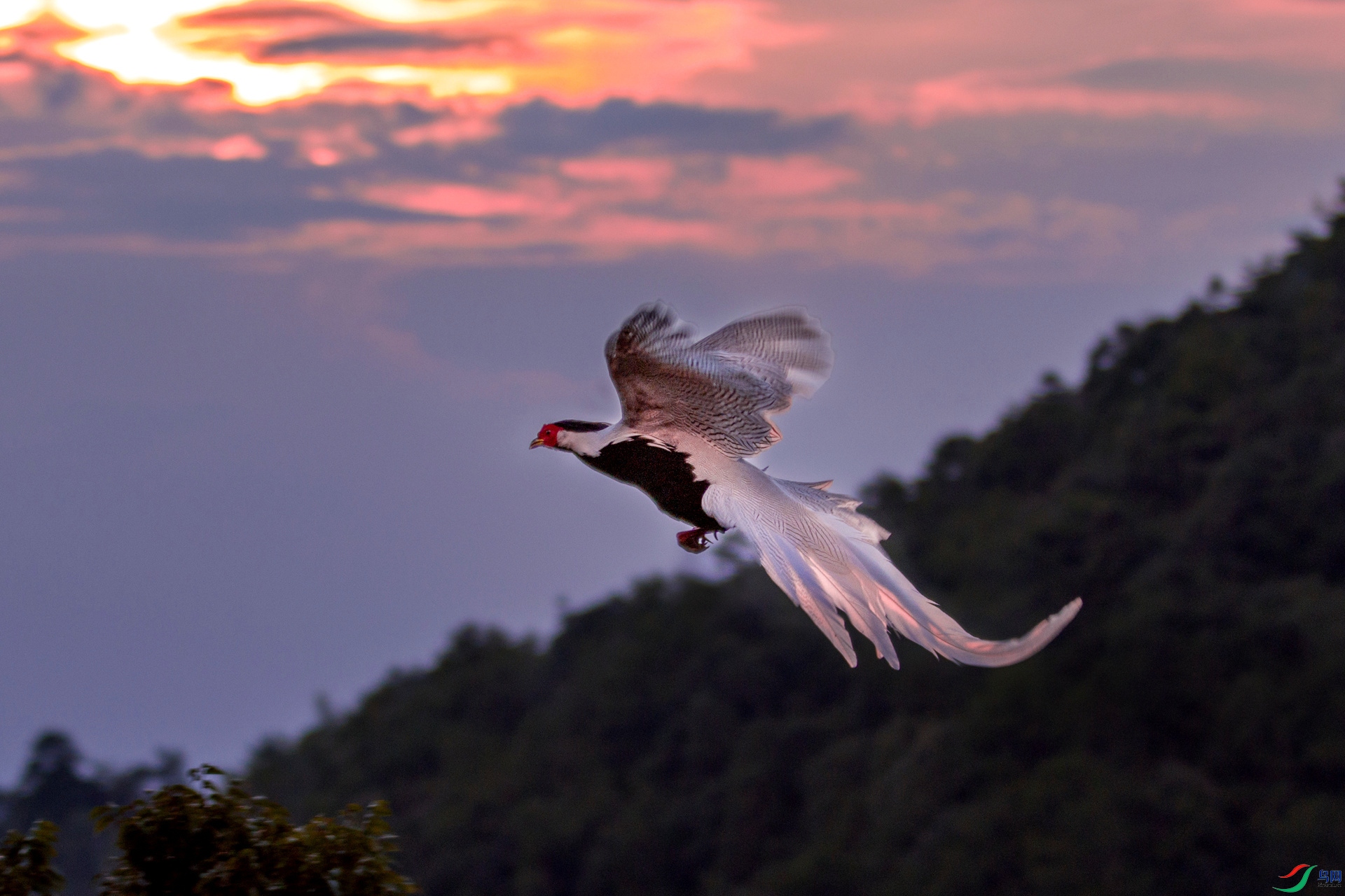 ϼ�հ��������� .jpg