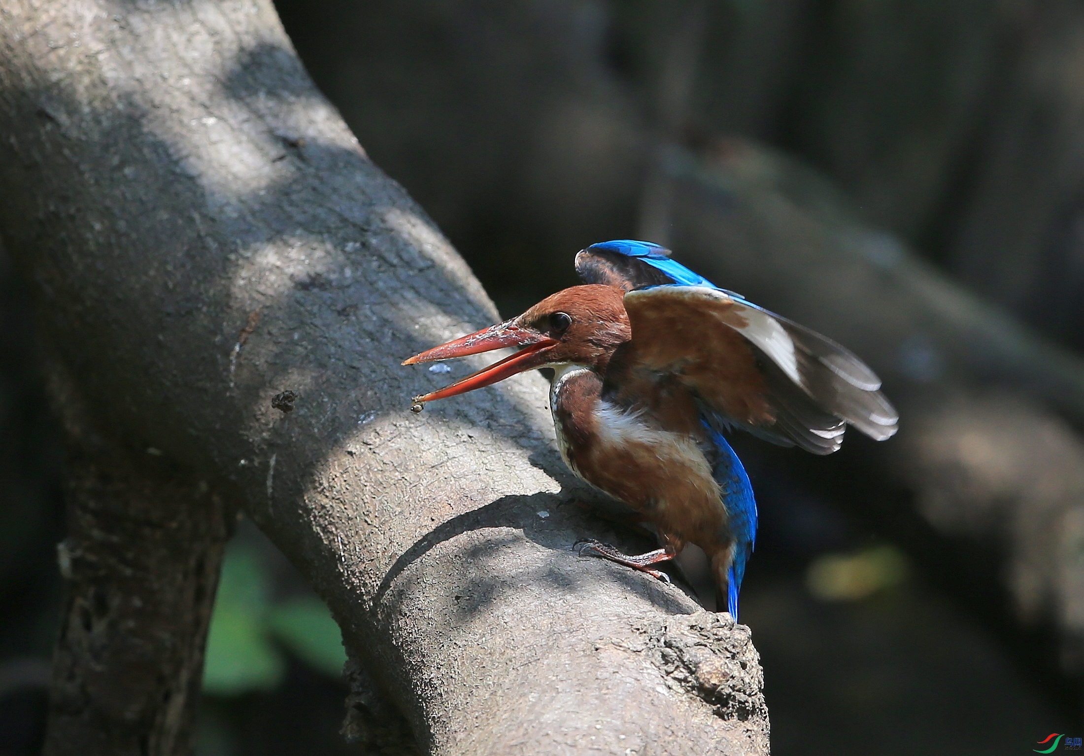 IMGL0420�� ��.JPG