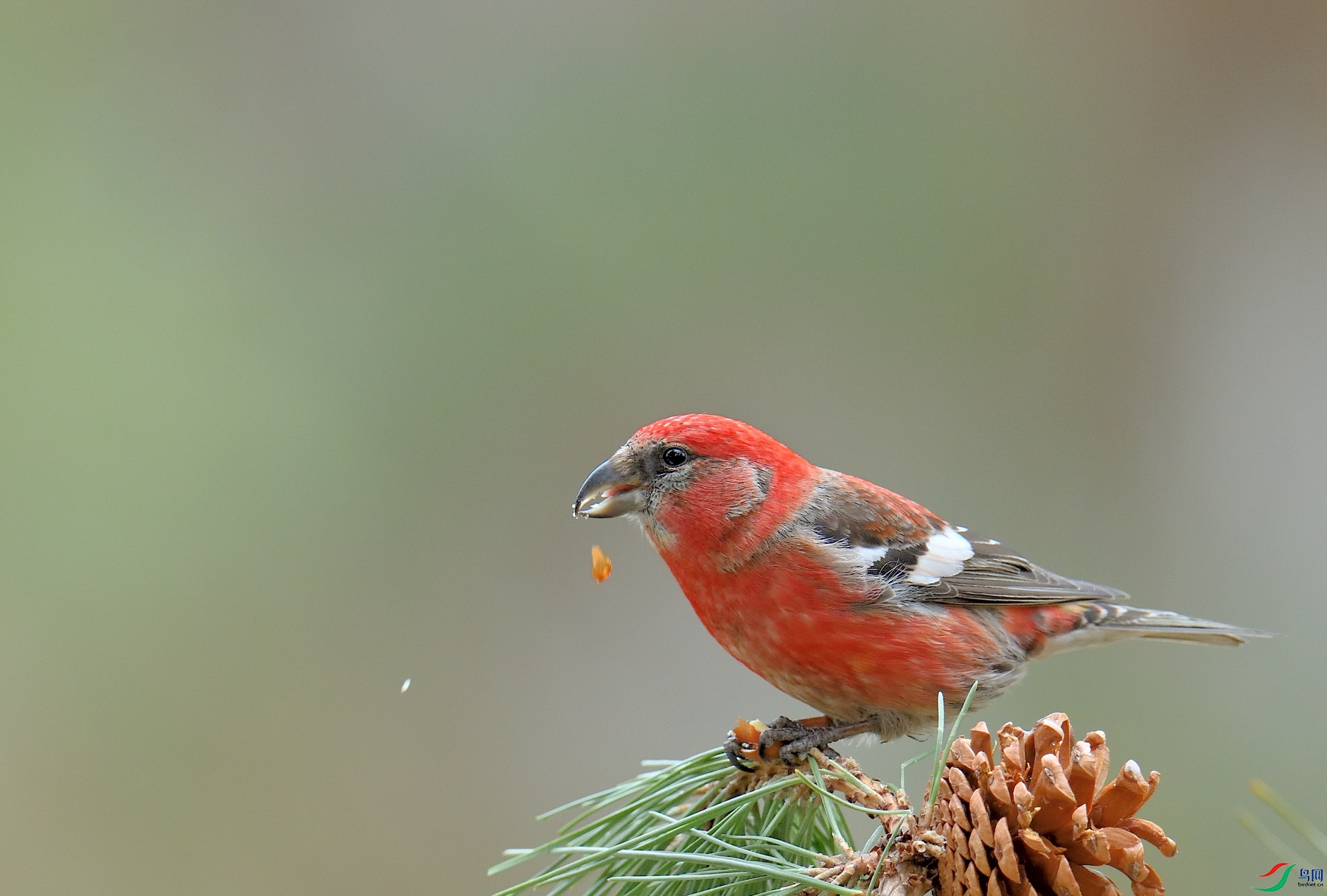 DSC_6146.JPG
