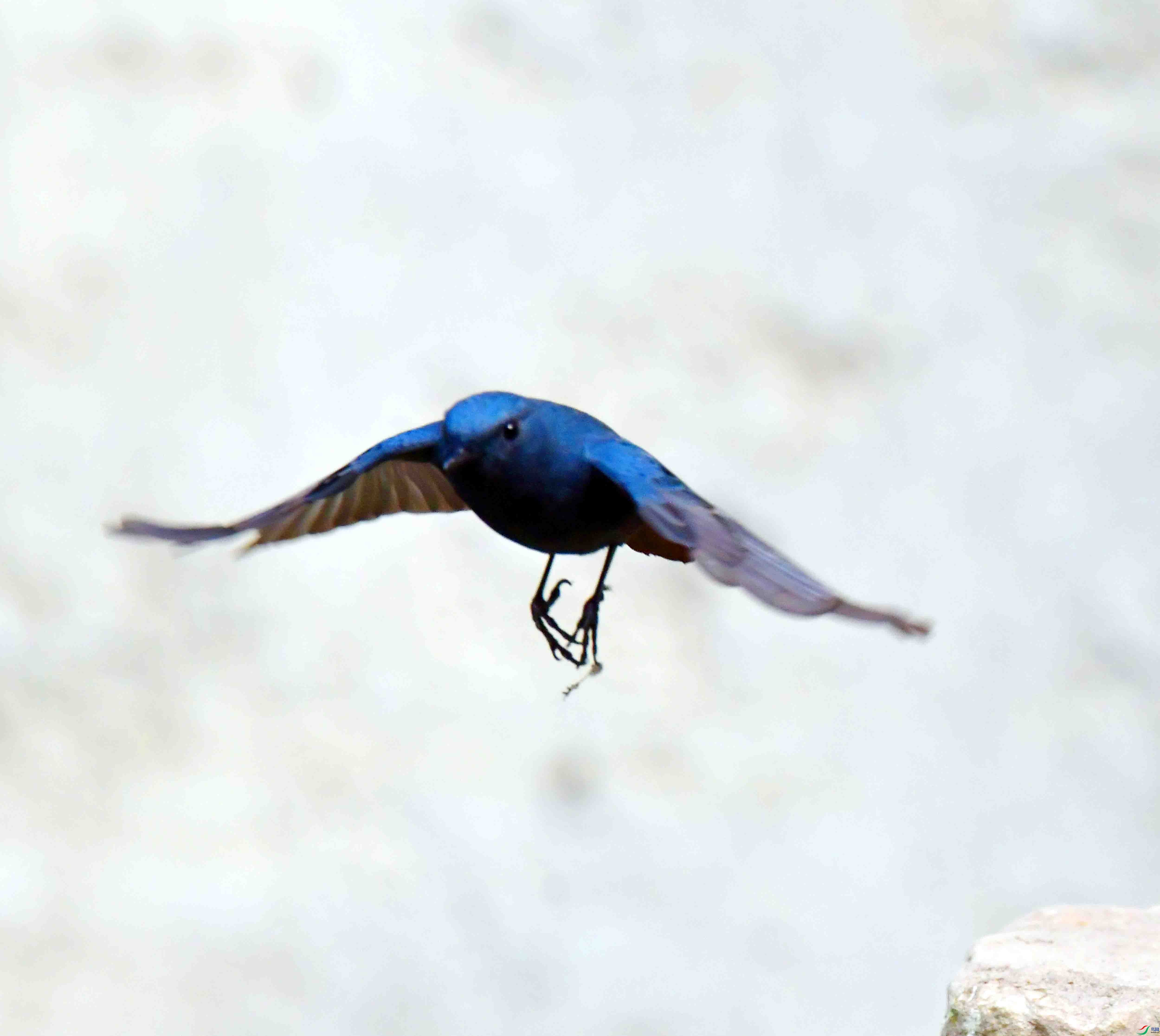 DSC_6655.JPG