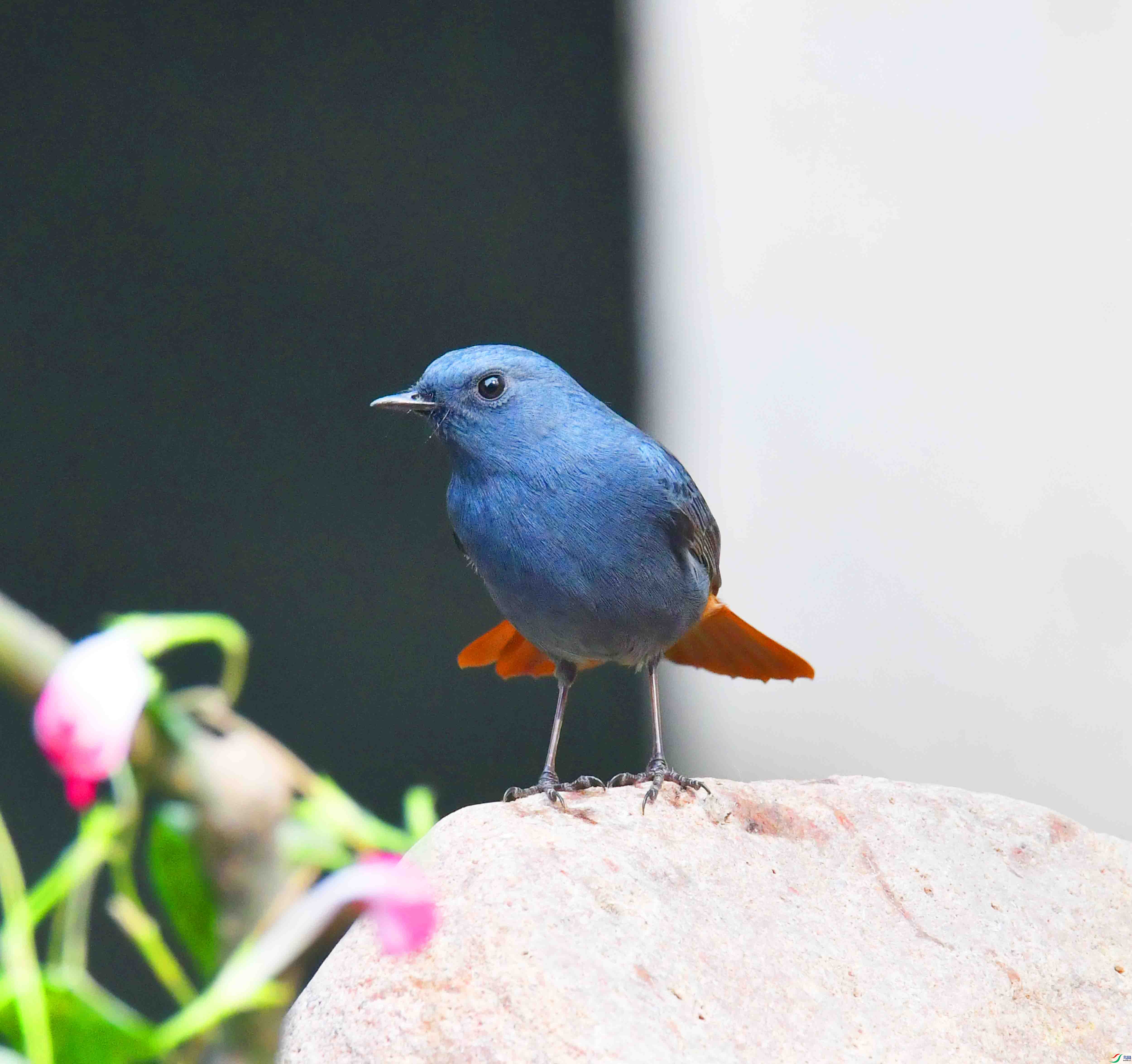 DSC_6661.JPG