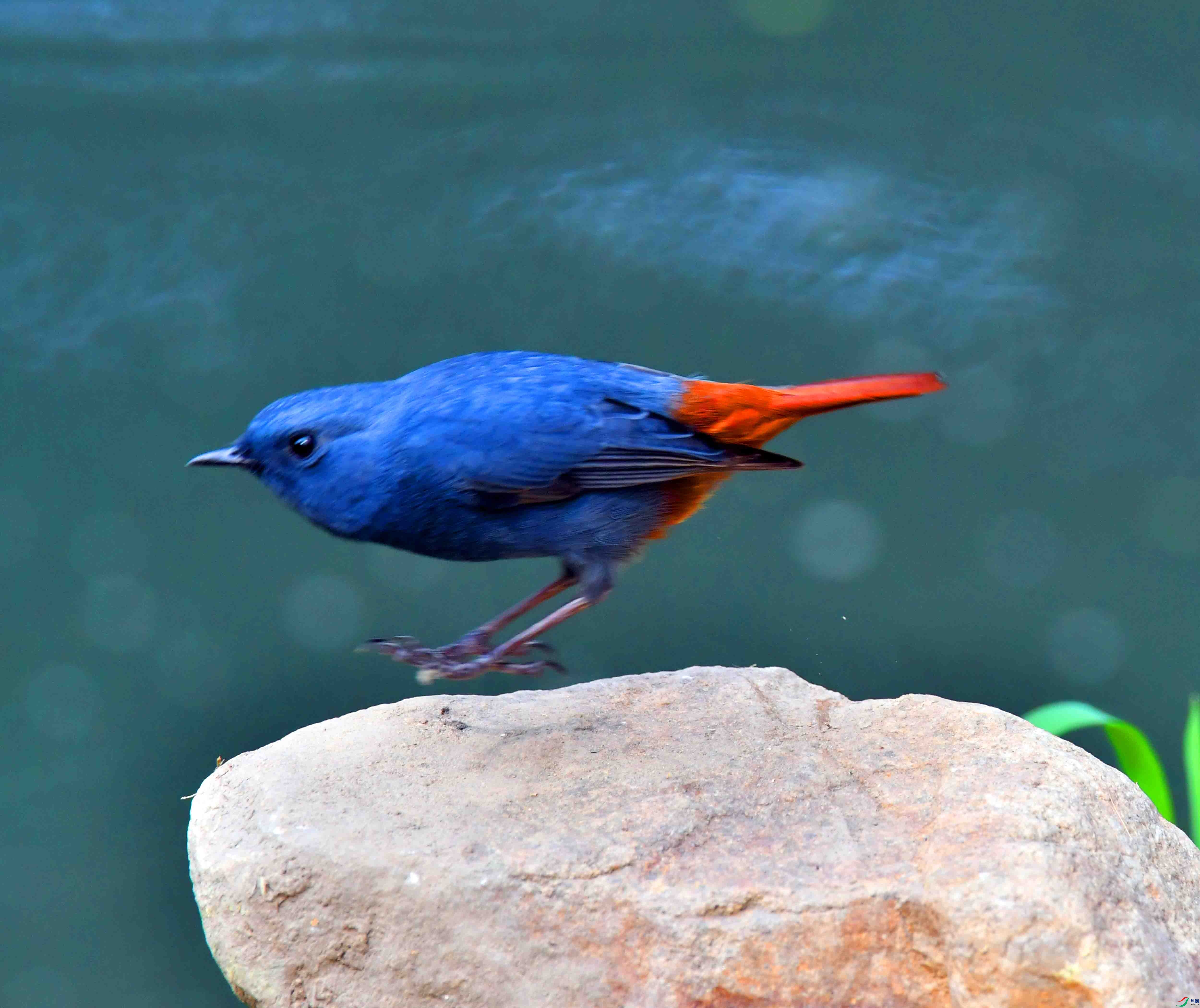 DSC_6782.JPG